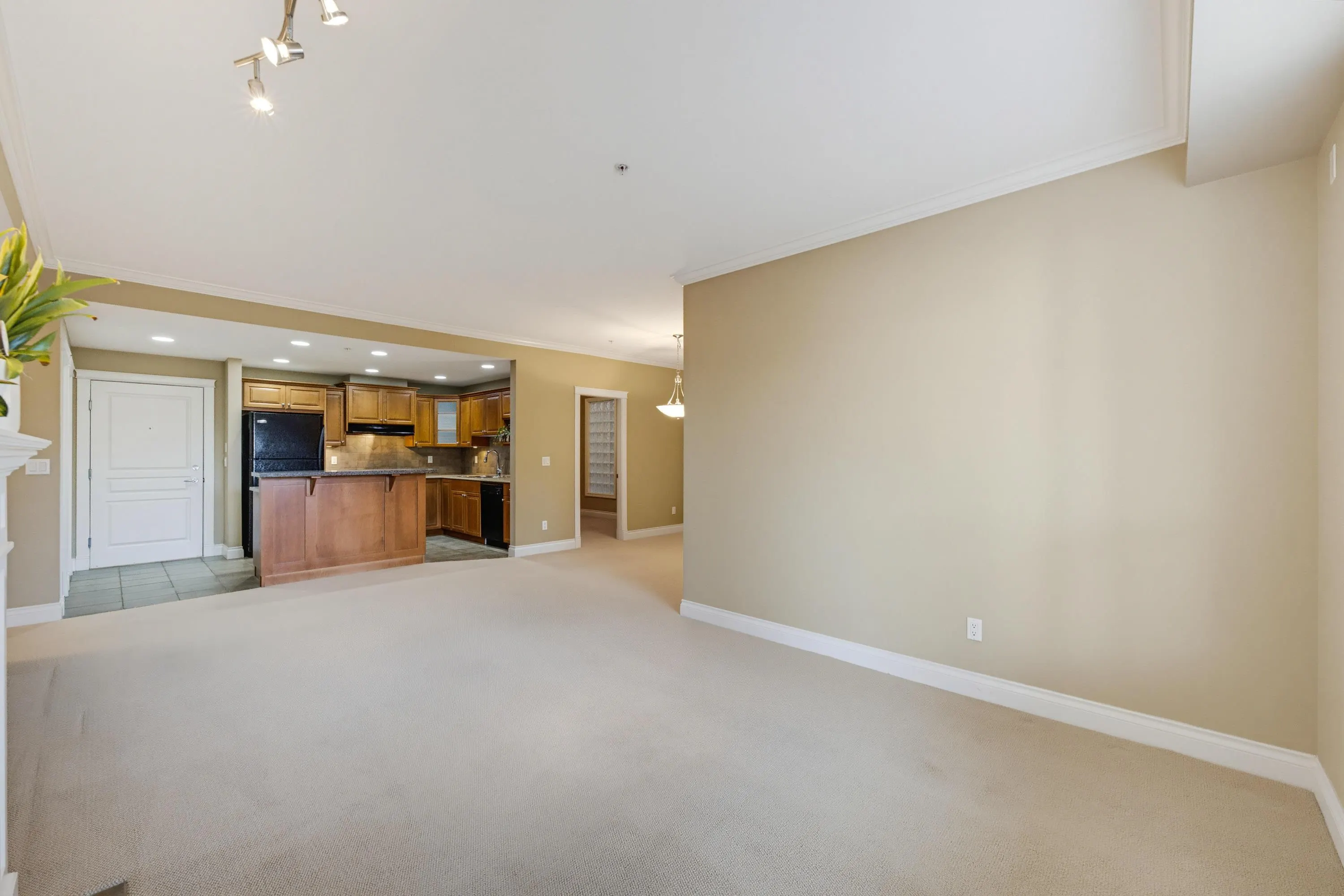 15357 17a Avenue #202