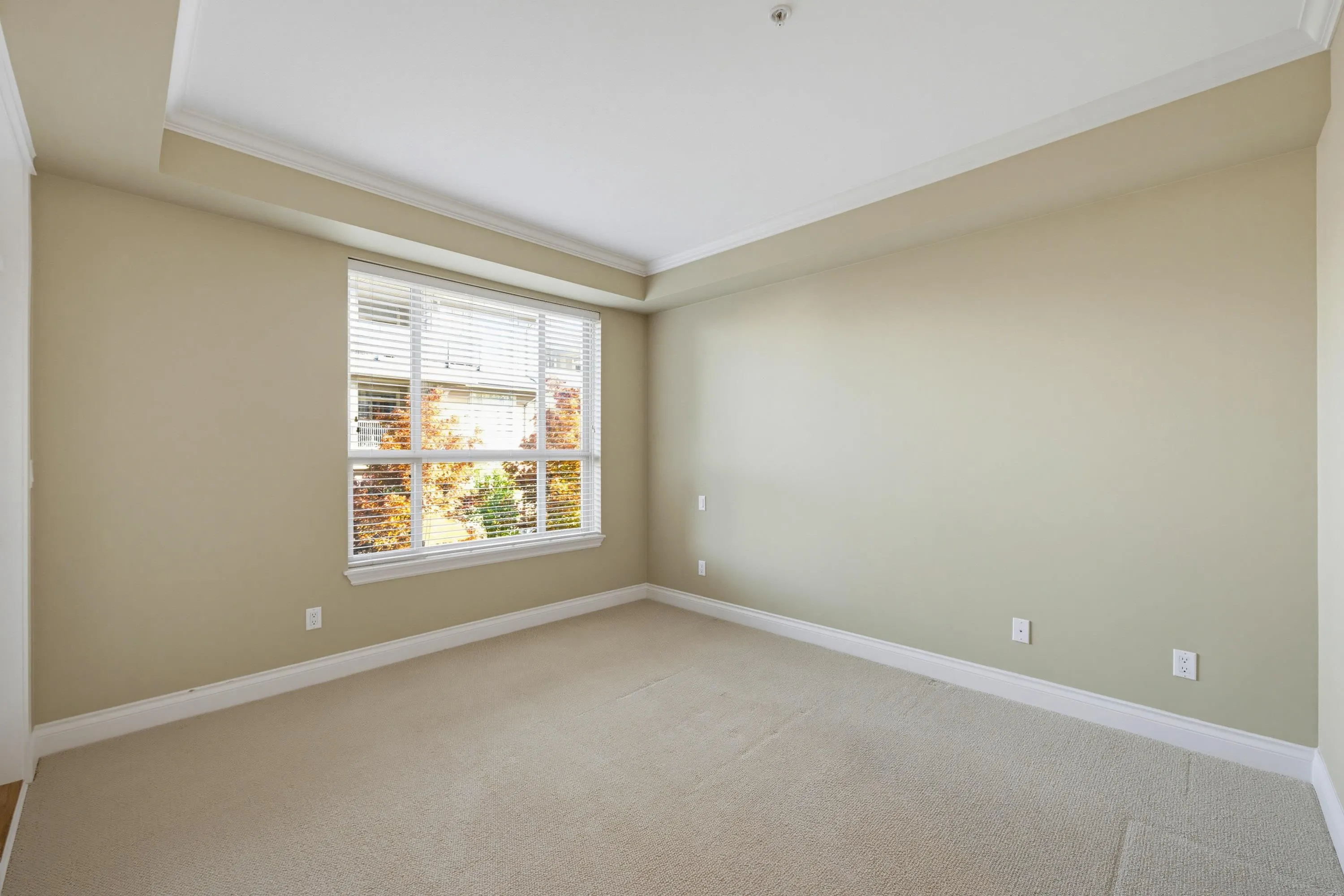 15357 17a Avenue #202