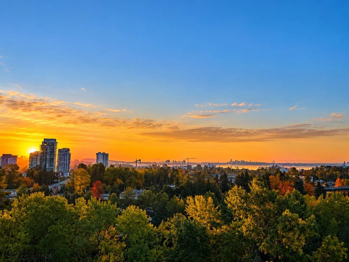 338 Taylor Way #16A