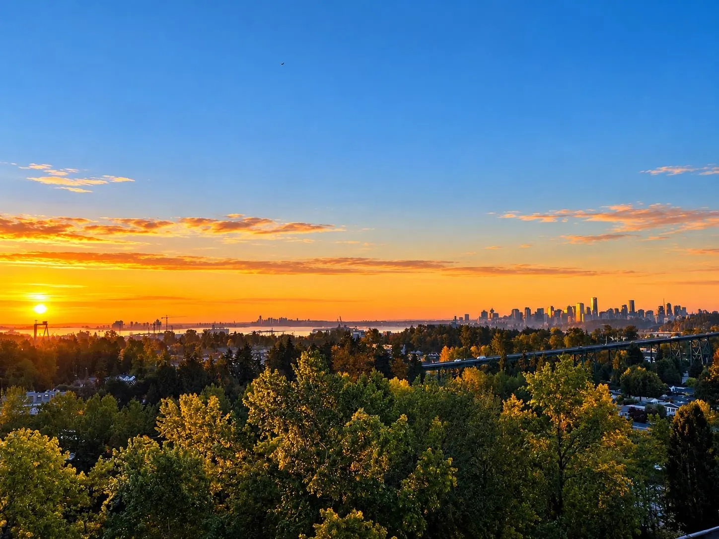 338 Taylor Way #16A