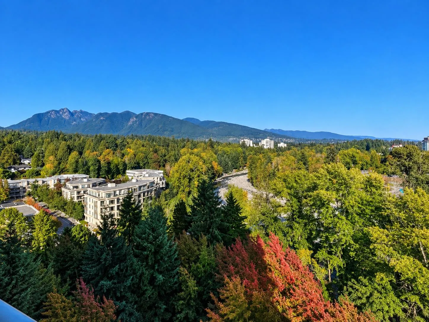 338 Taylor Way #16A
