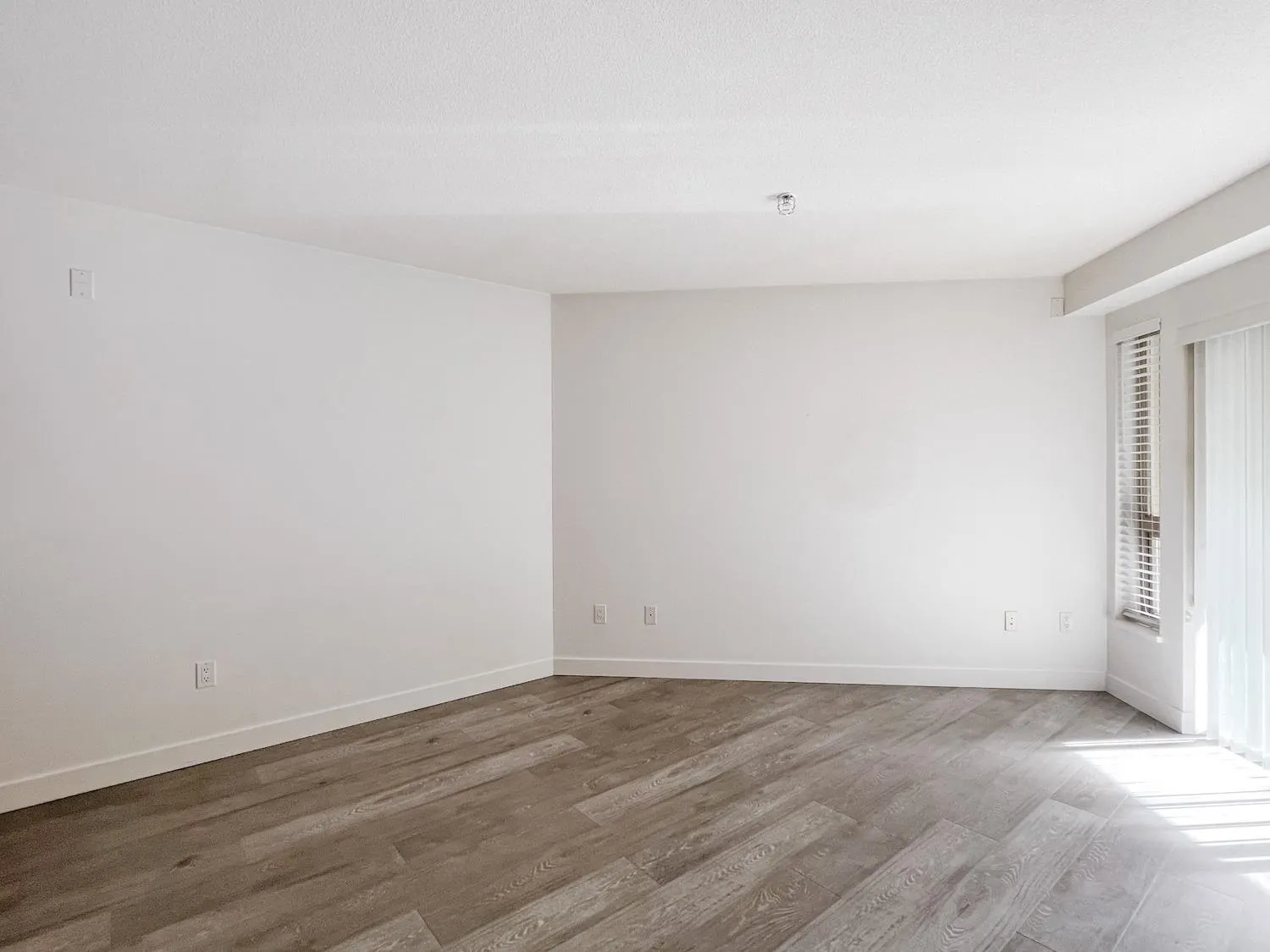 1633 Mackay Avenue #312