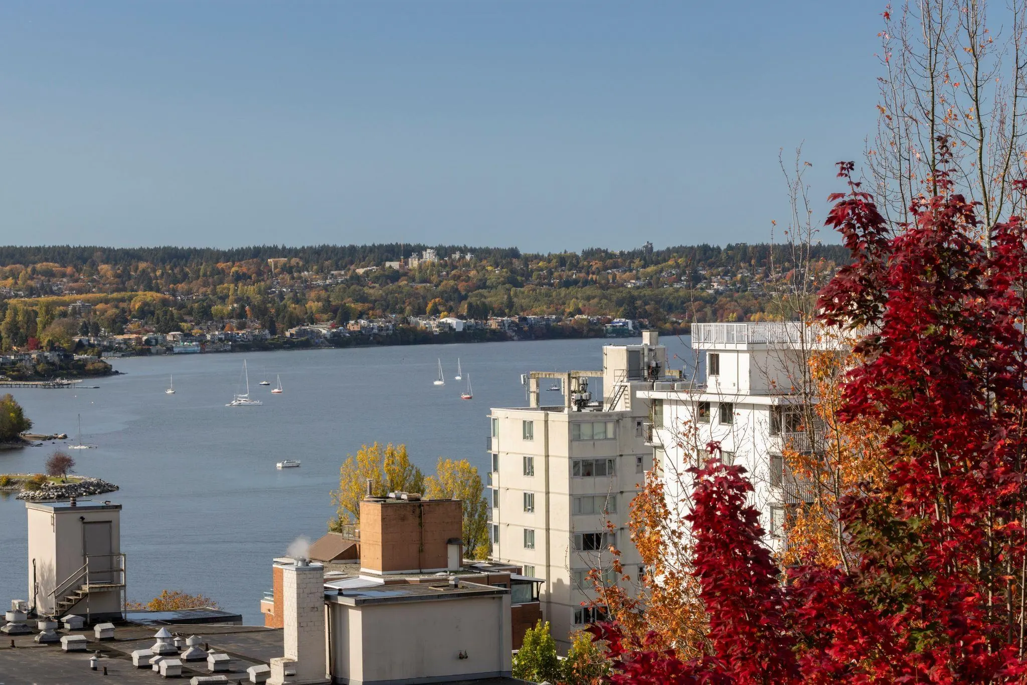 1345 Burnaby Street #701