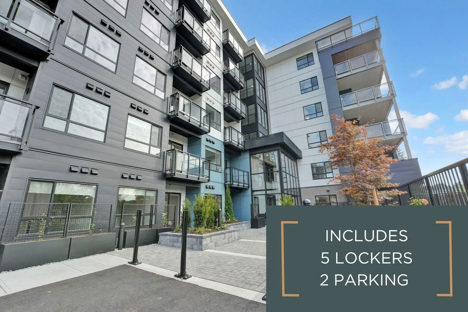 33886 Pine Street #419