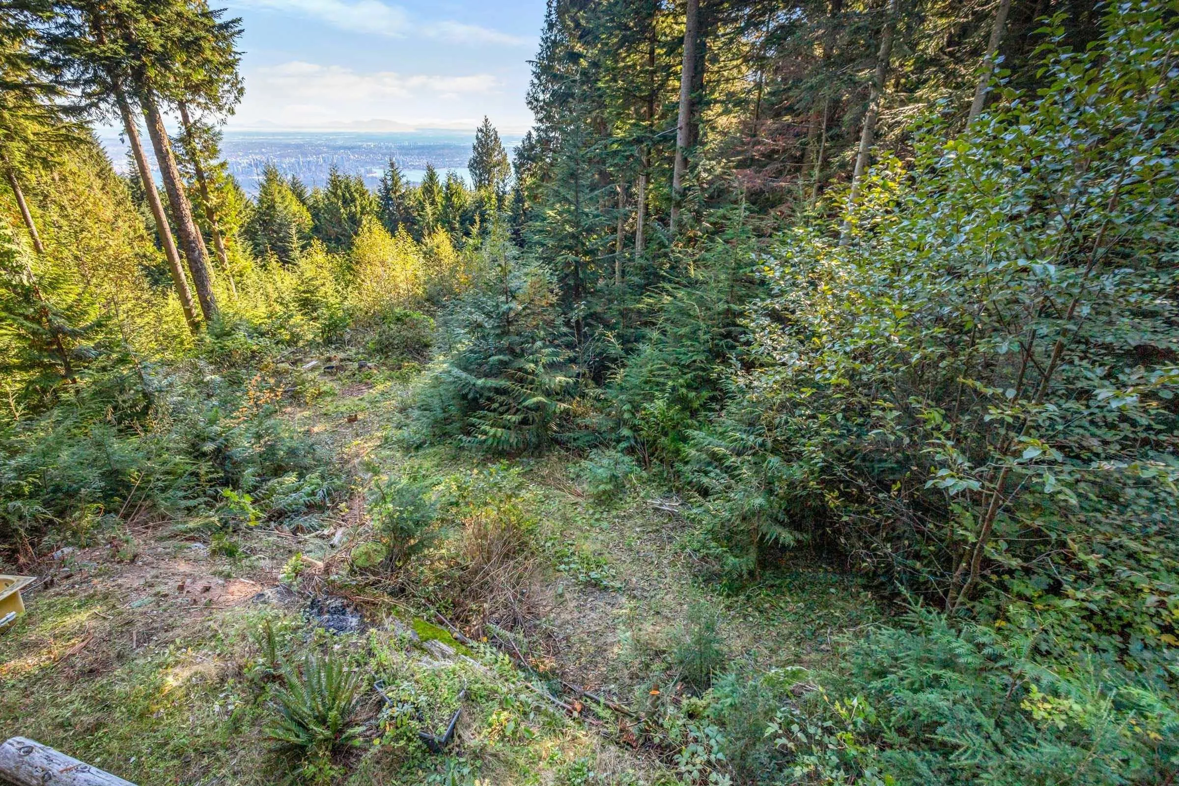 1C Hollyburn Ridge