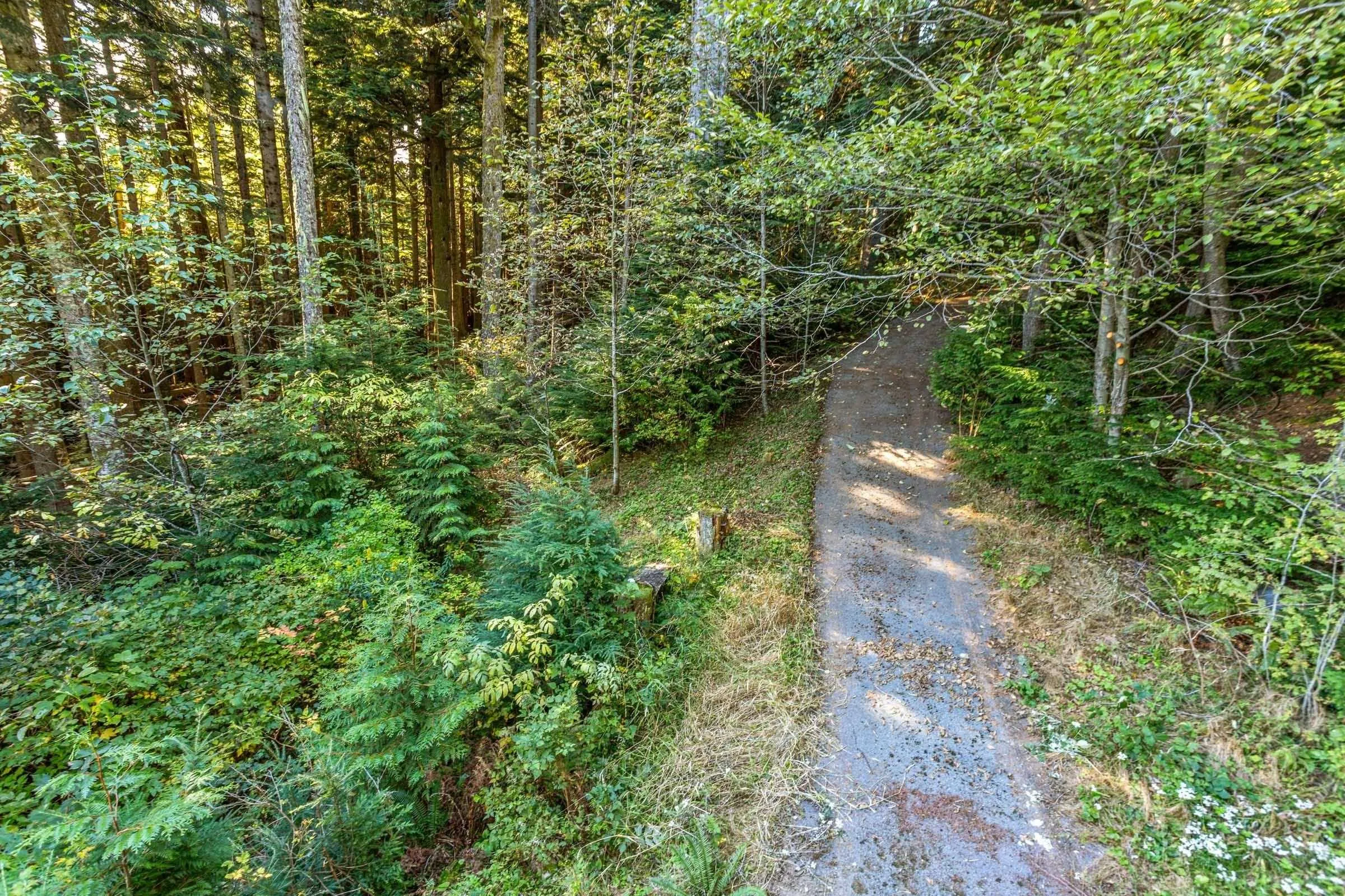 1C Hollyburn Ridge