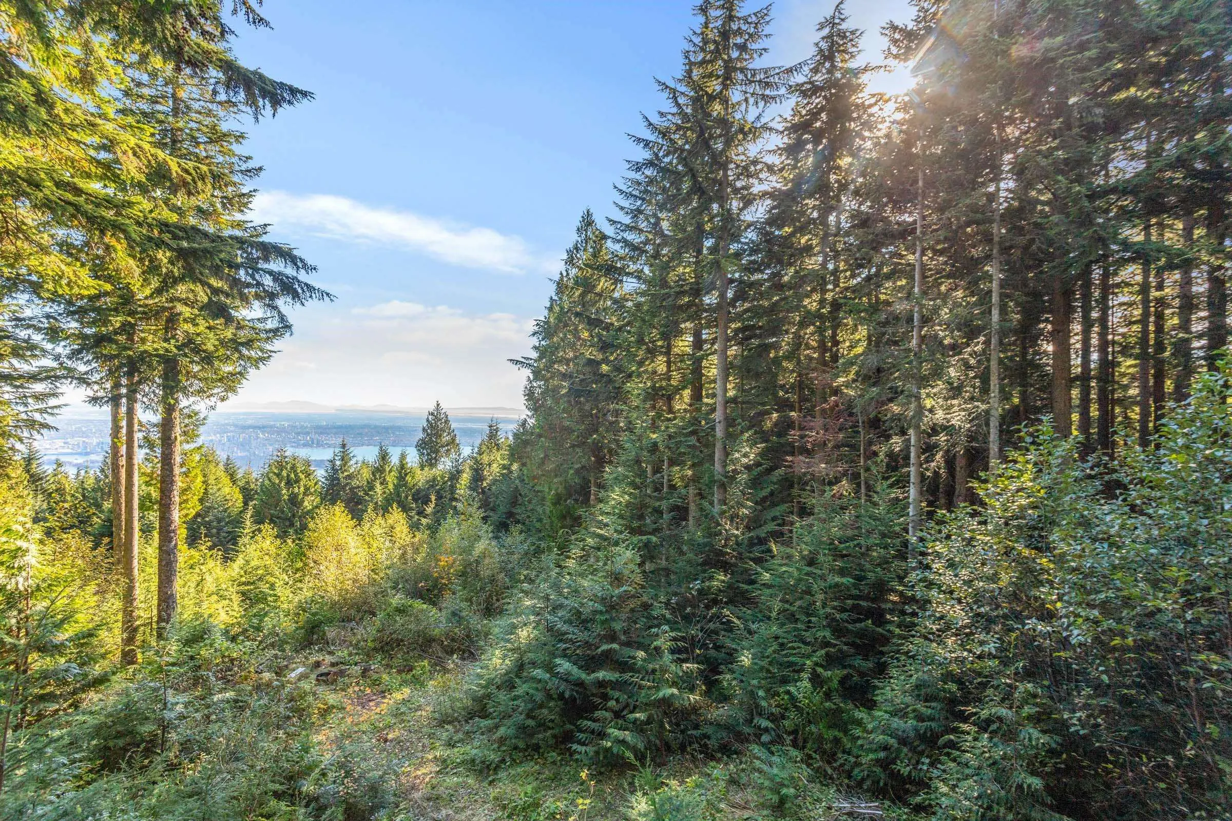 1C Hollyburn Ridge
