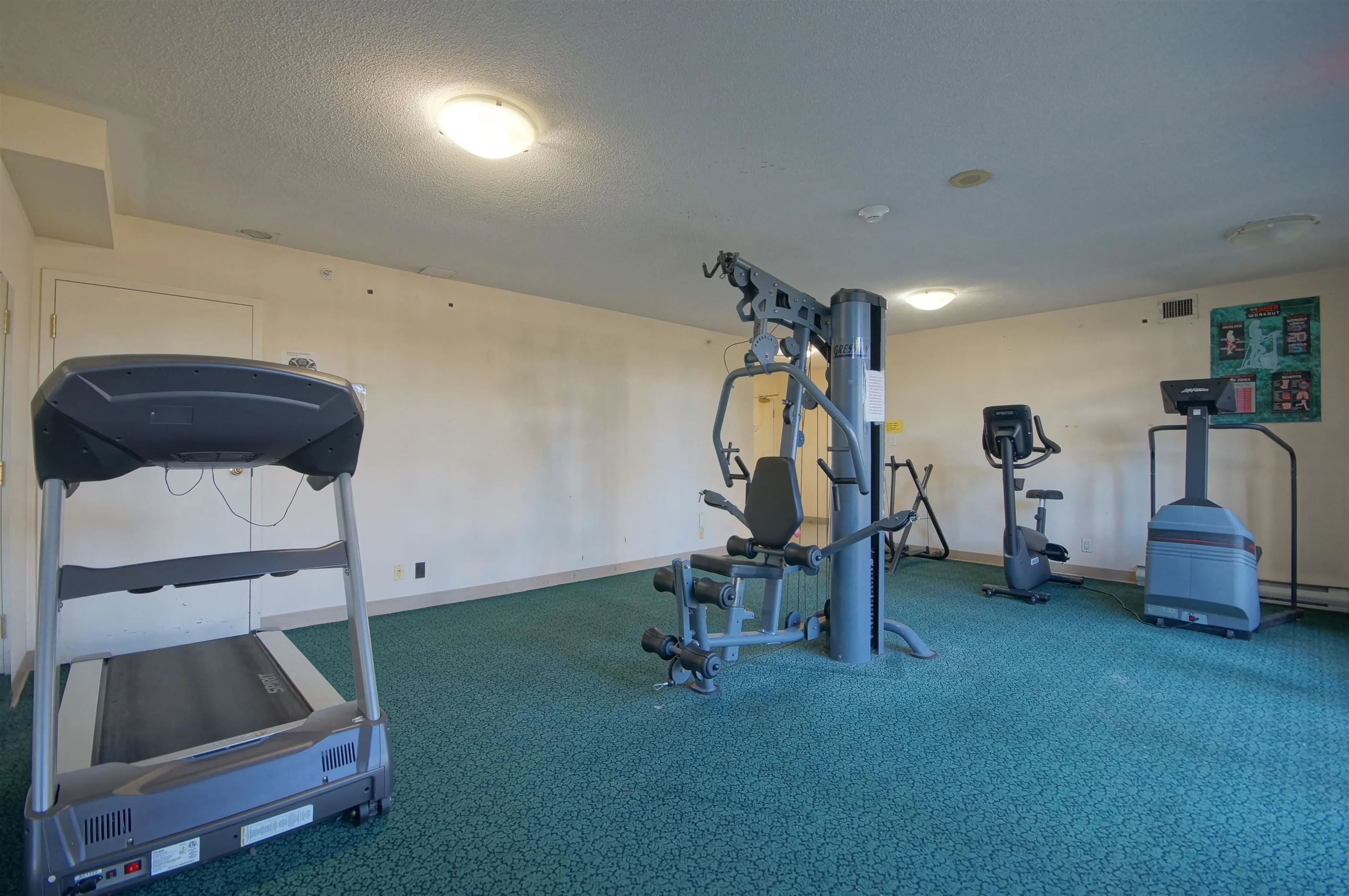 8297 Saba Road #806