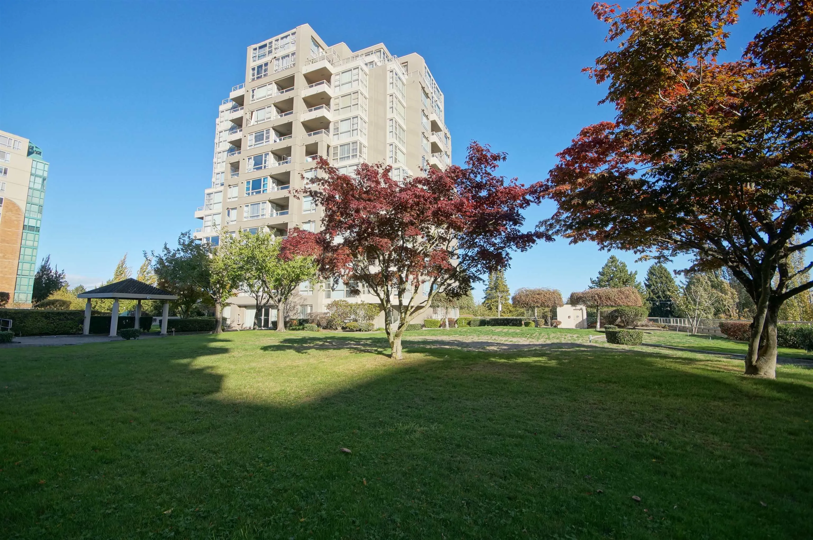 8297 Saba Road #806