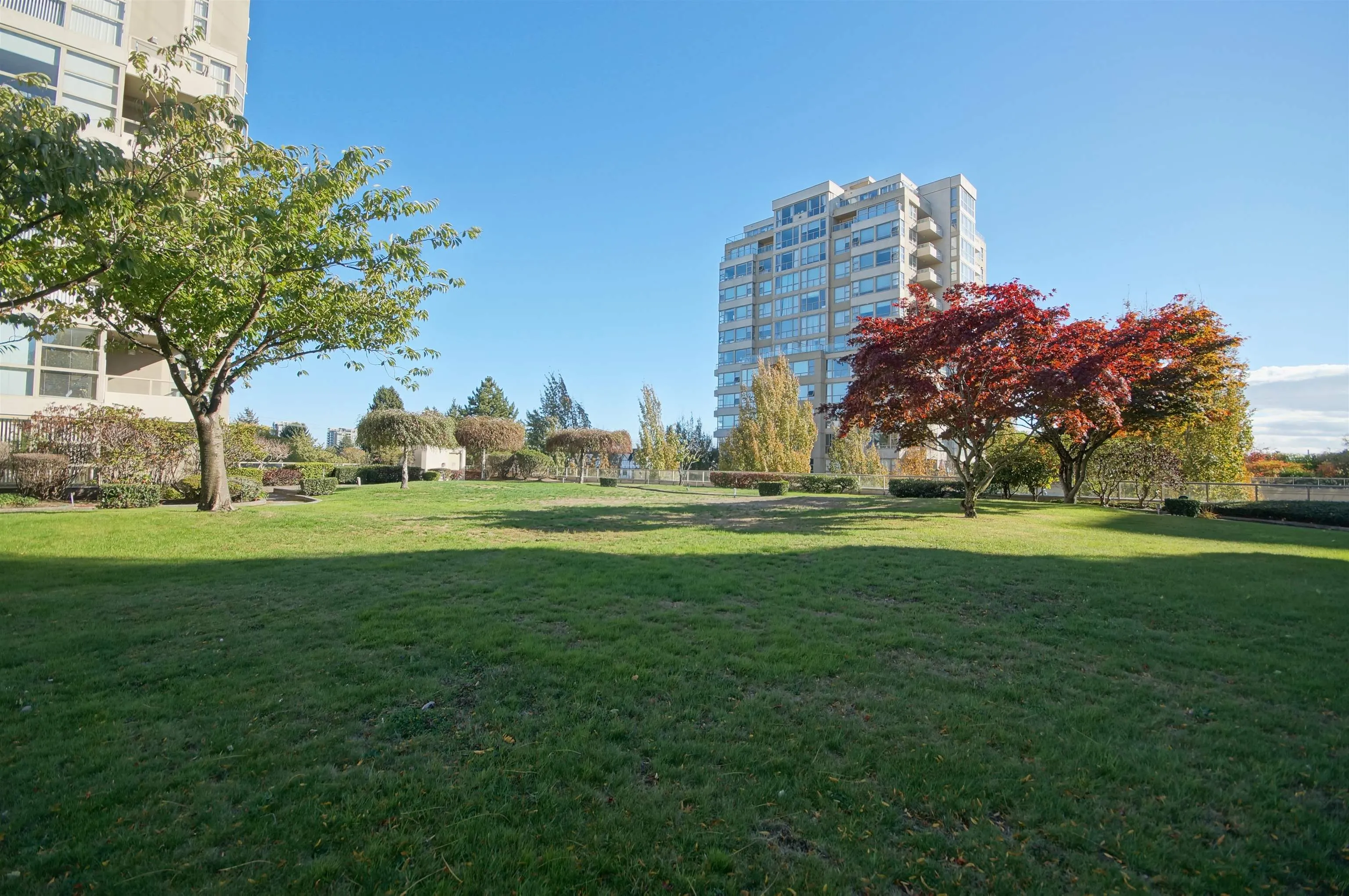 8297 Saba Road #806