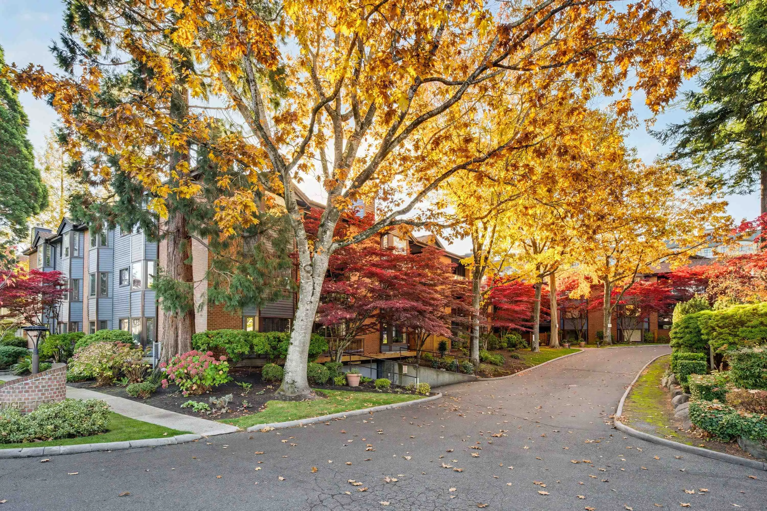 15300 17 Avenue #206