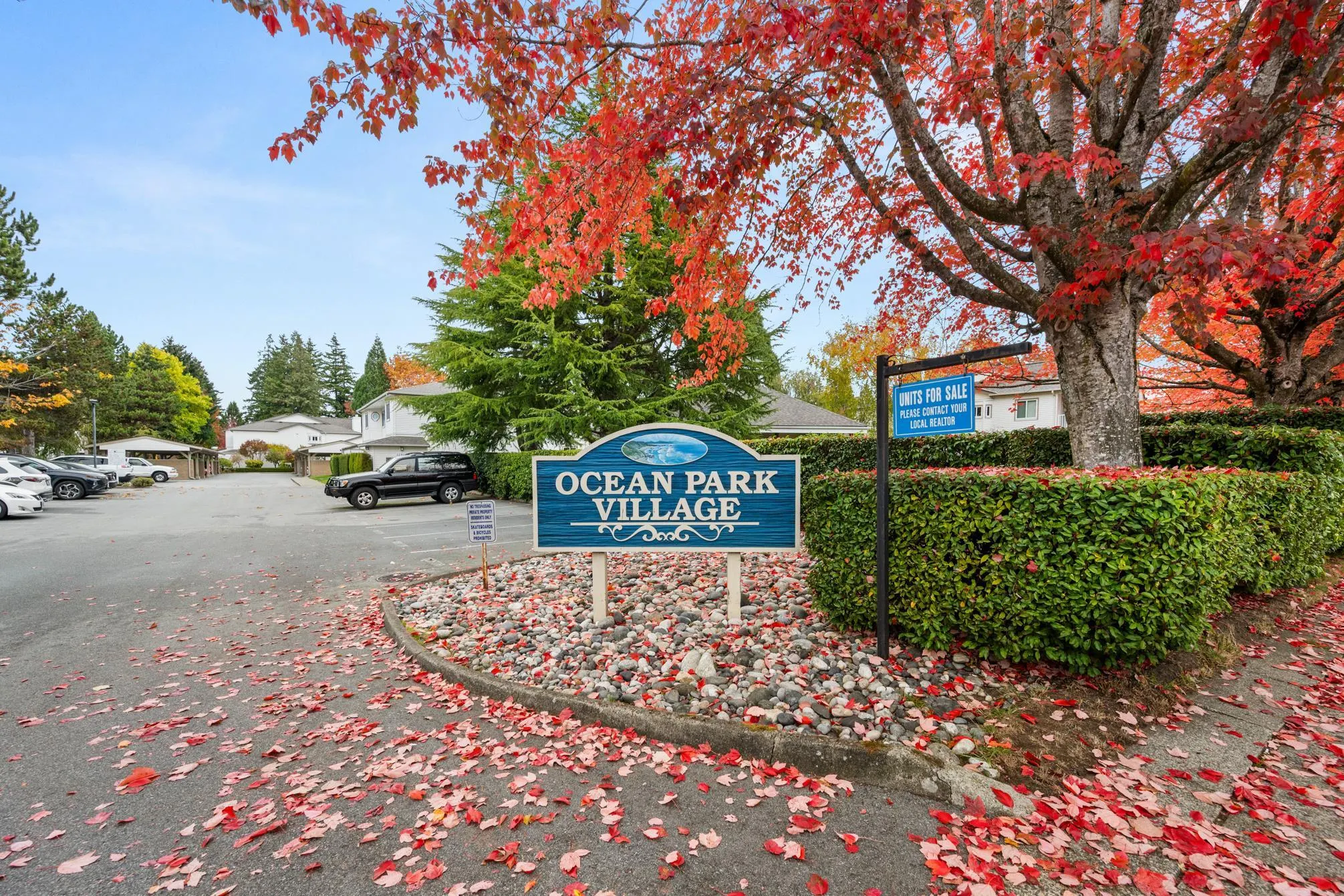 12916 17 Avenue #8