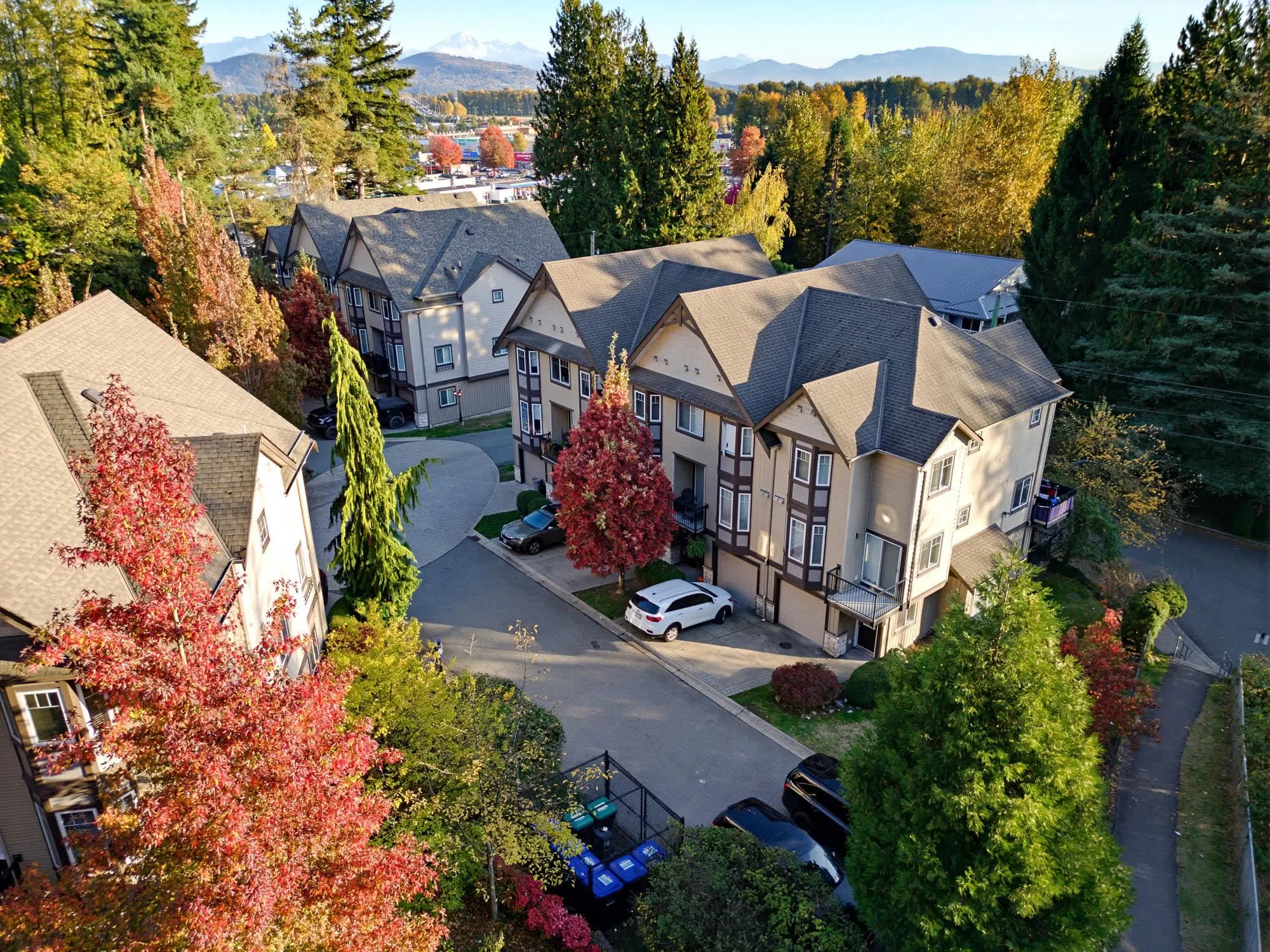 32501 Fraser Crescent #3