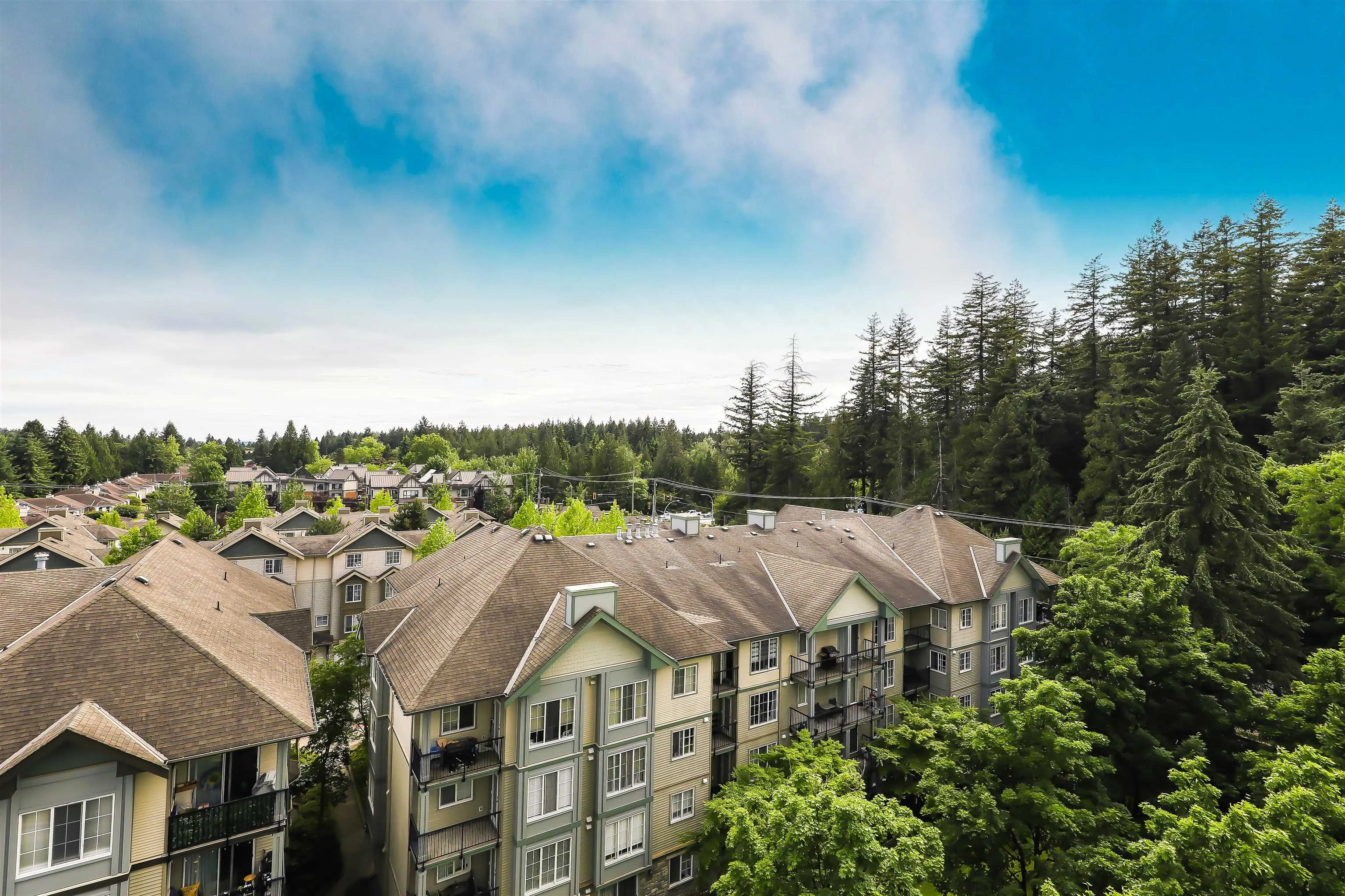 10082 148 Street #808