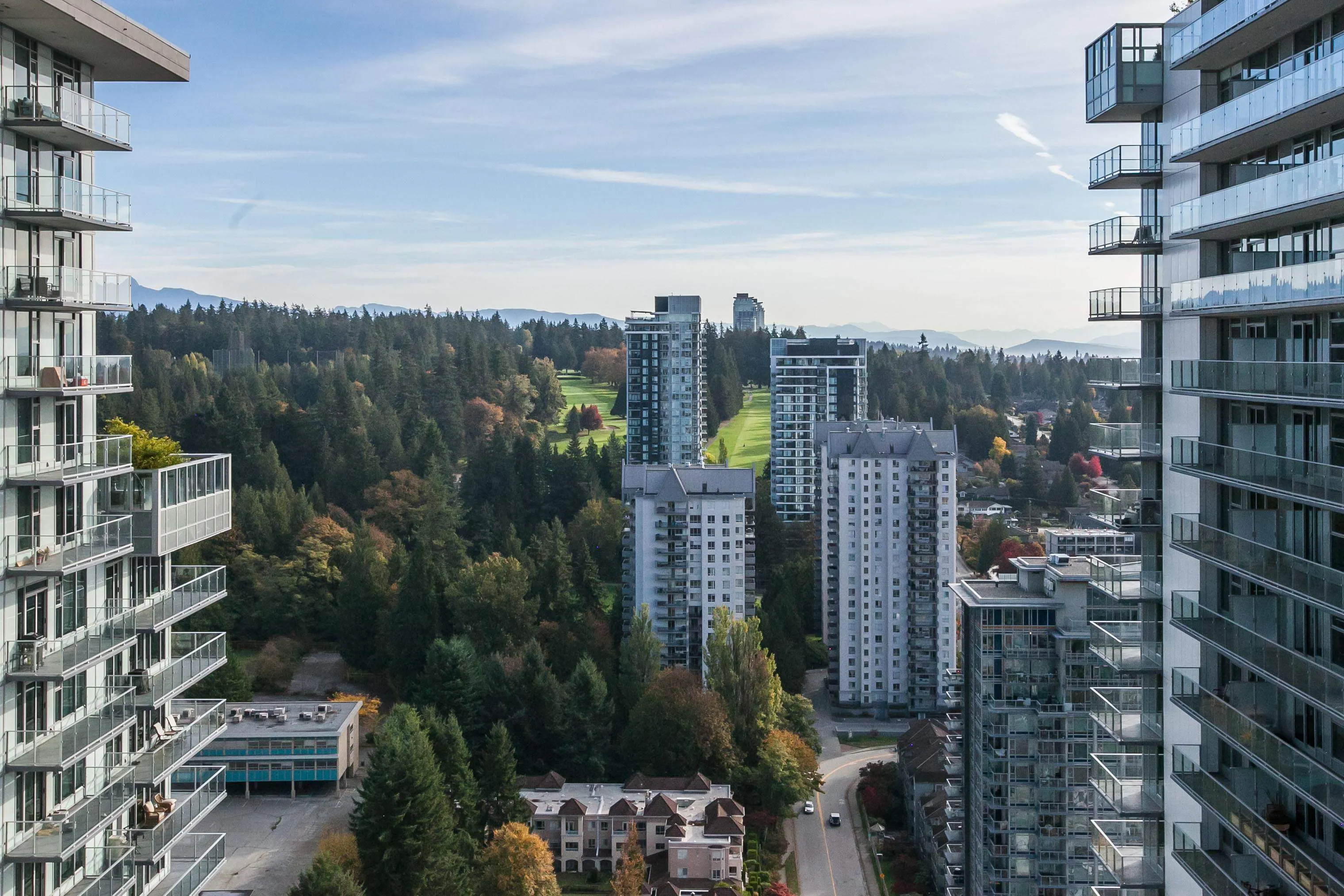 3833 Evergreen Place #2801