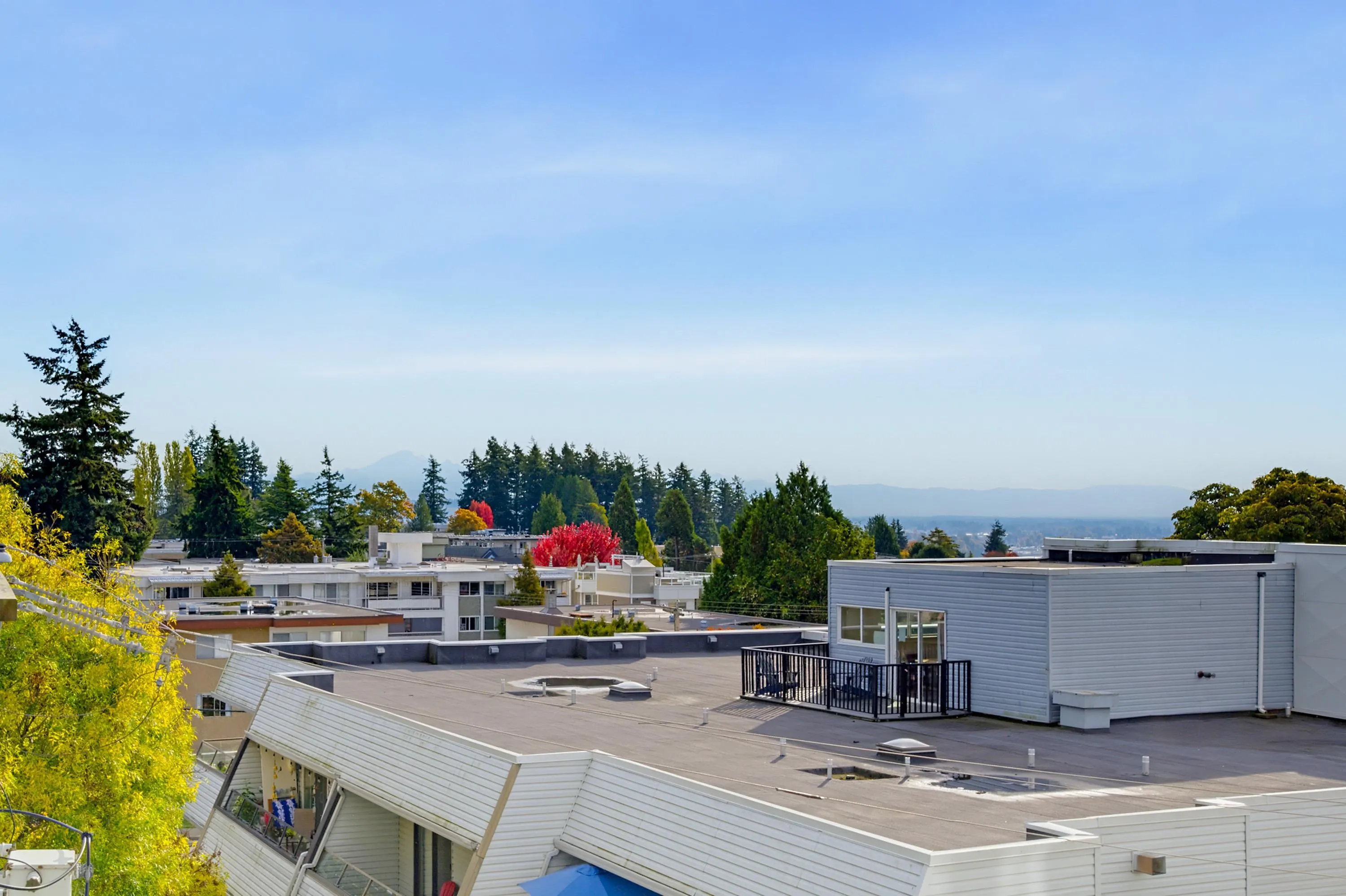 1342 Johnston Road #406