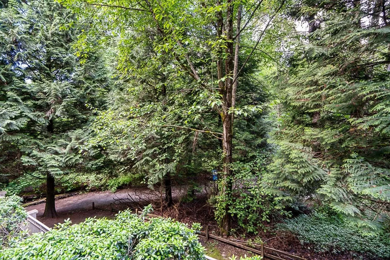 2975 Princess Crescent #211