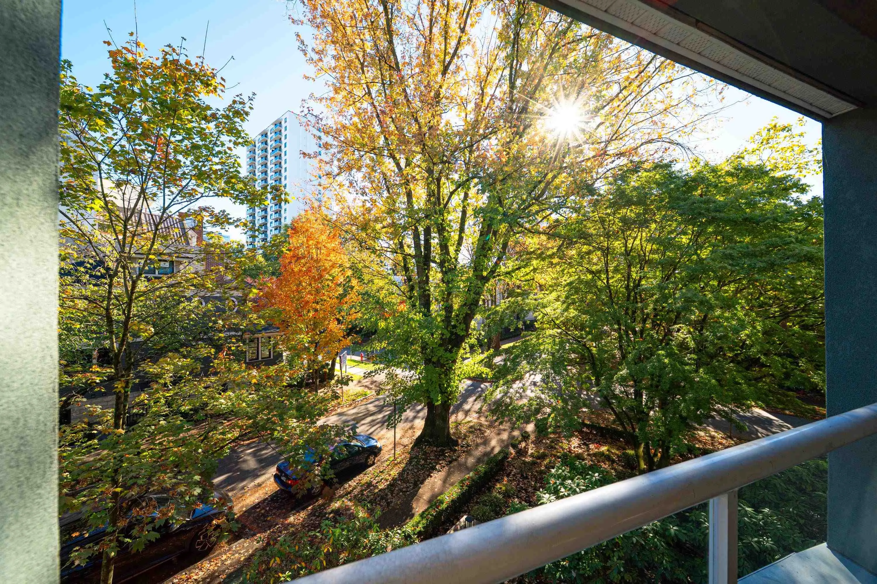 1705 Nelson Street #307
