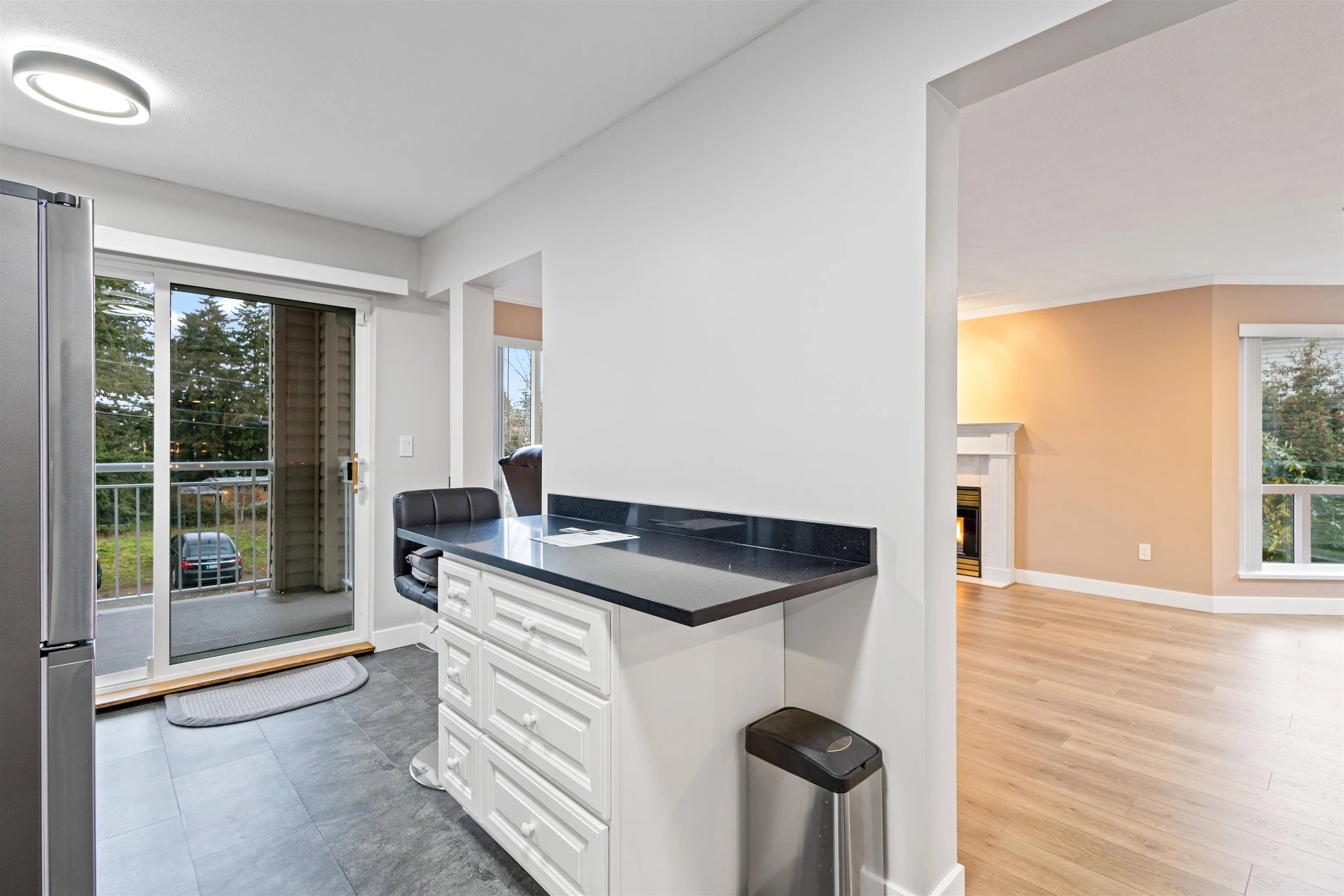 32120 Mt Waddington Avenue #206