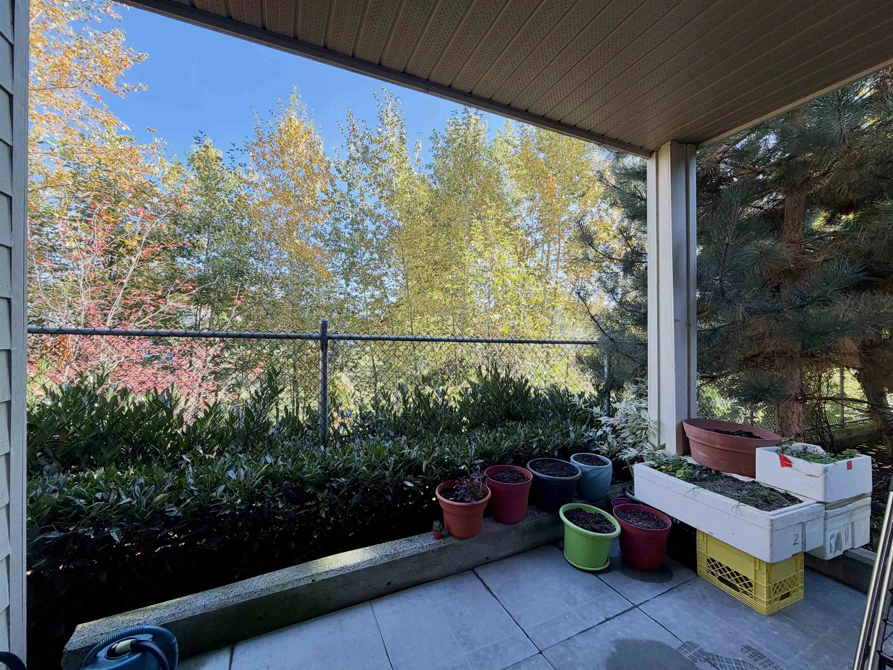 20211 66 Avenue #D106
