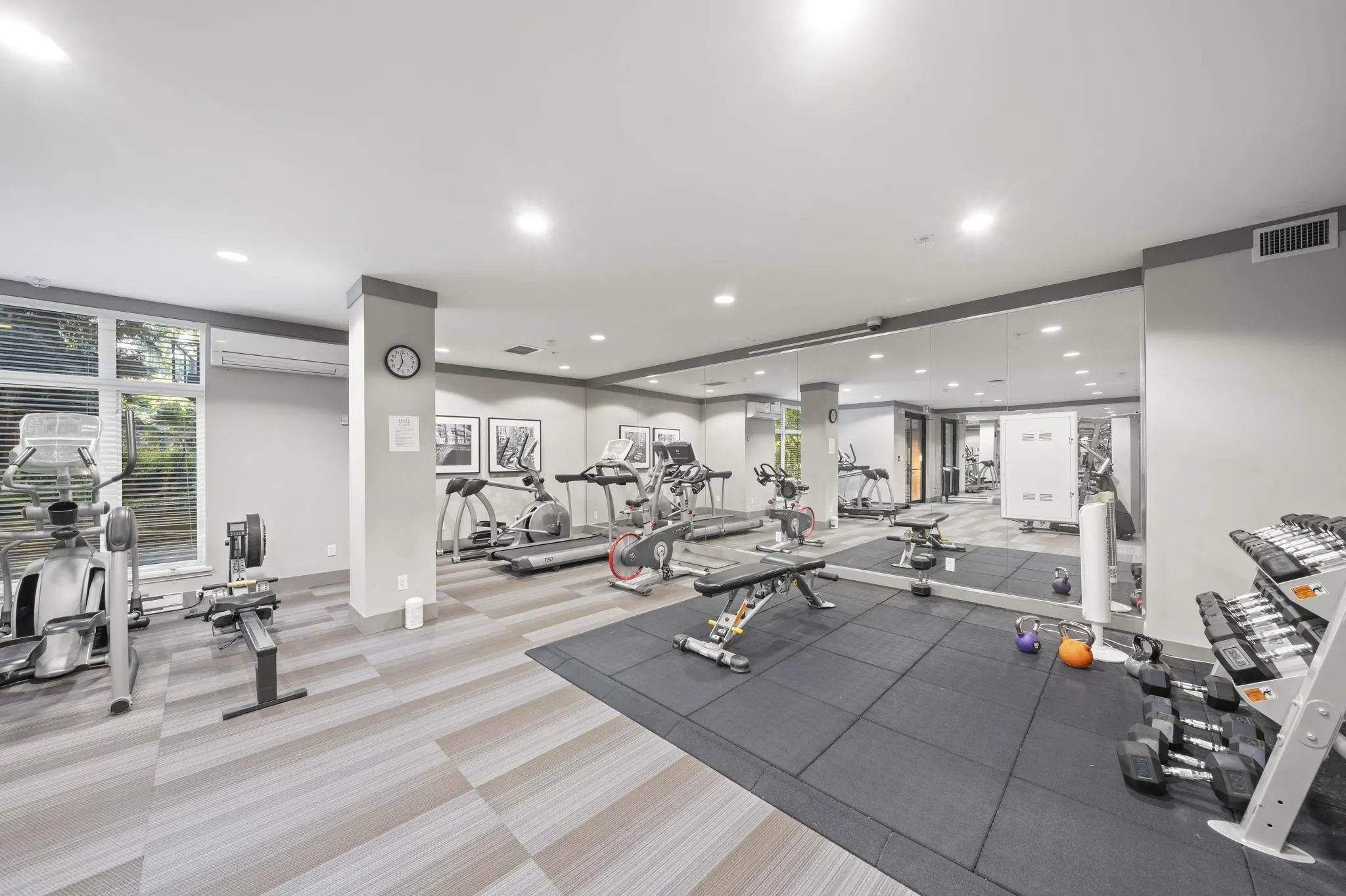 262 Salter Street #206