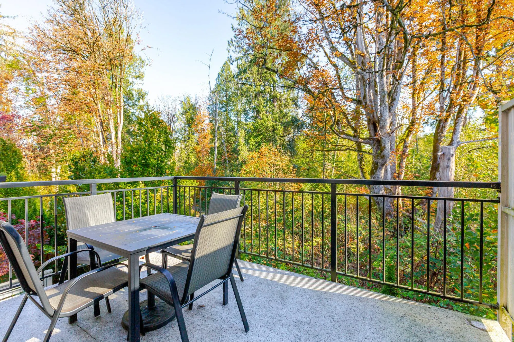 9688 162a Street #26