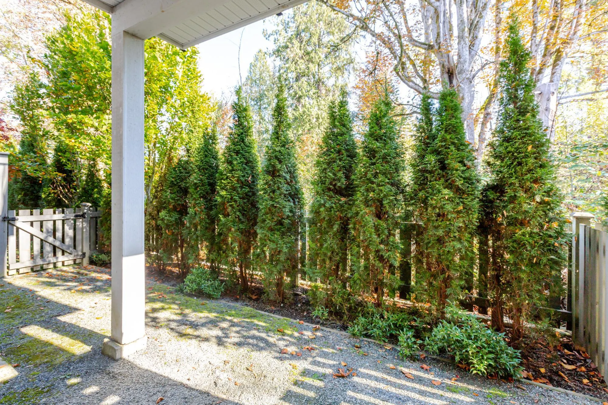 9688 162a Street #26