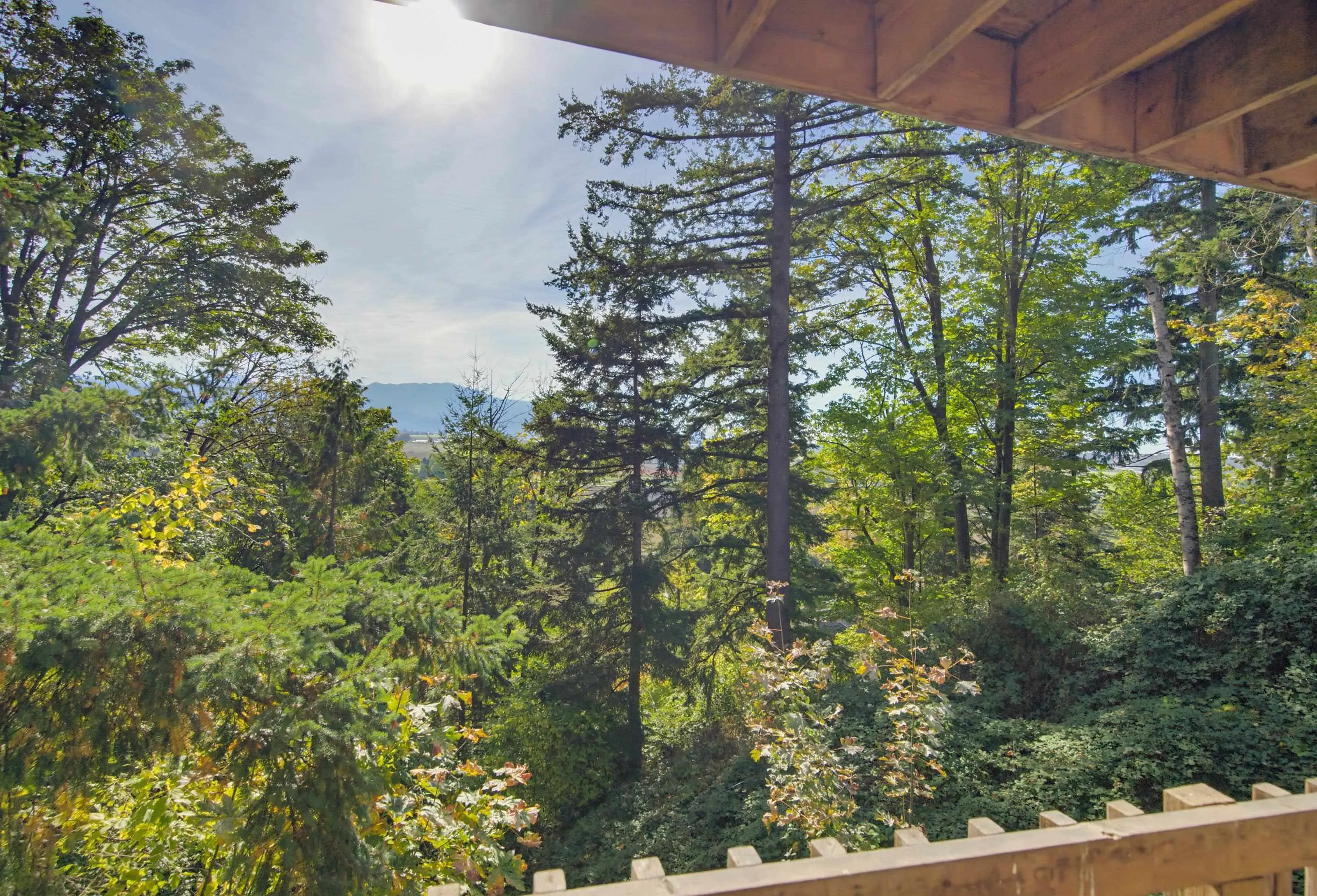 35746 Timberlane Drive