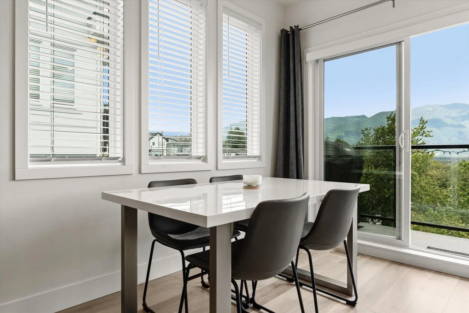 43998 Chilliwack Mountain Road #11