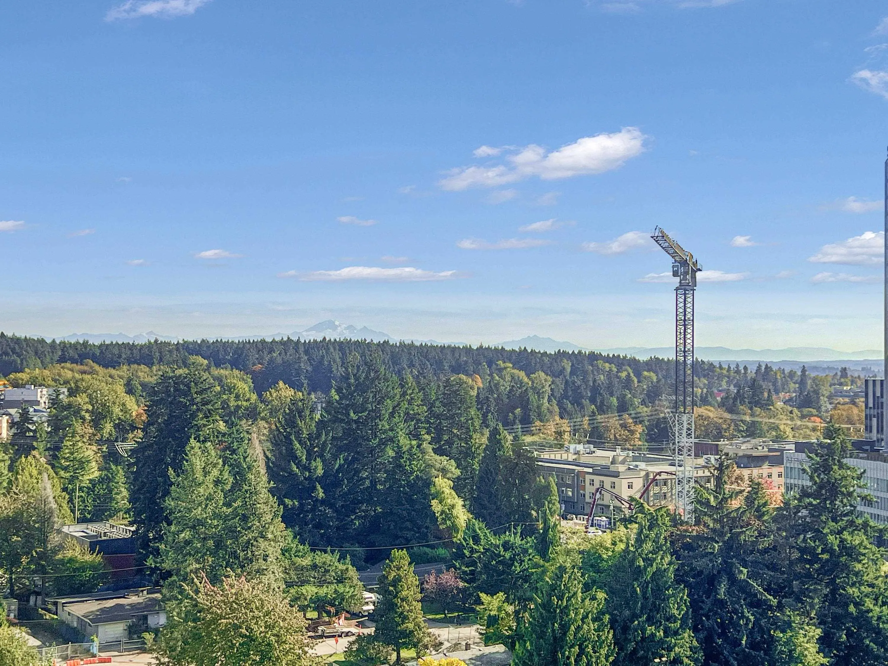 13615 Fraser Highway #1401