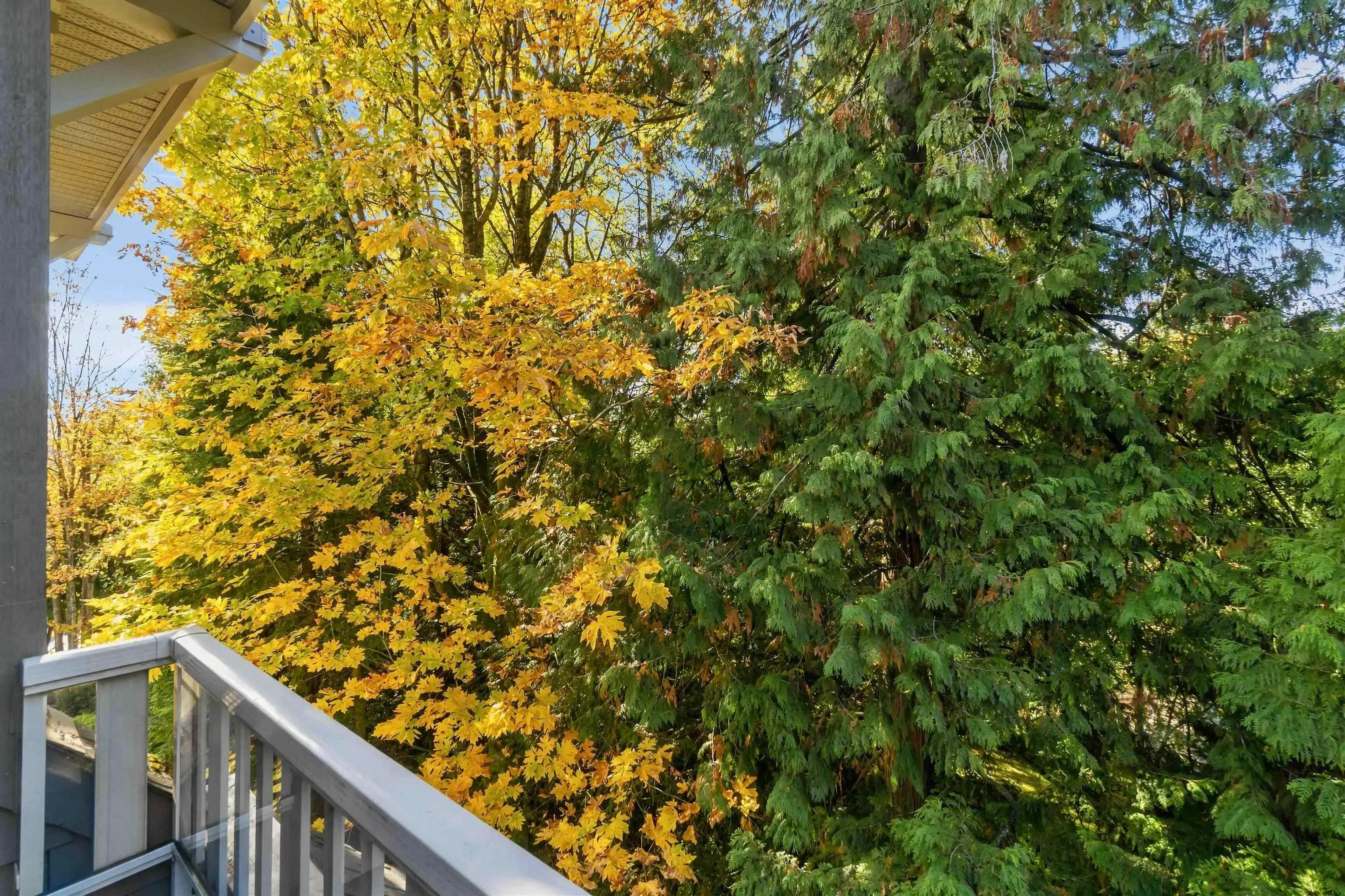 960 Lynn Valley Road #411