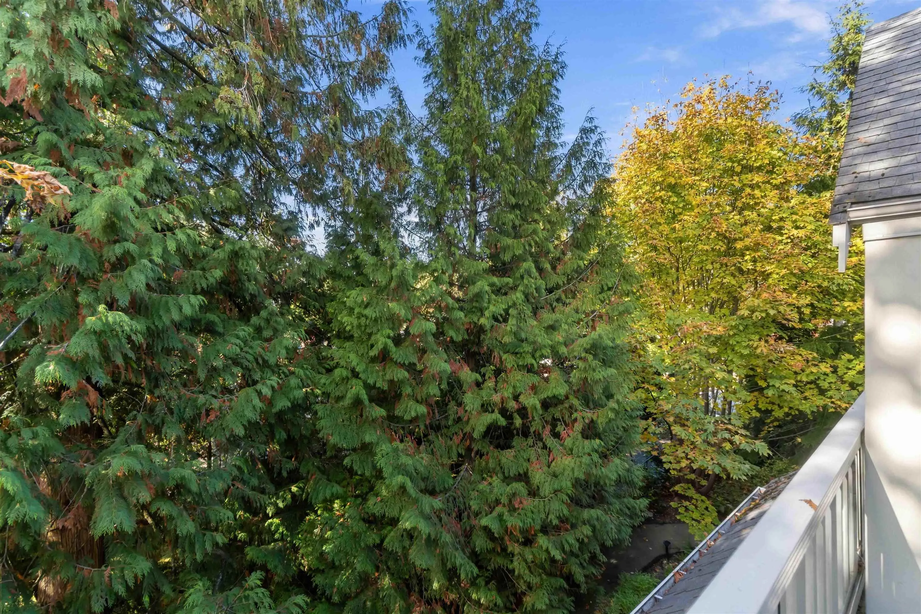 960 Lynn Valley Road #411