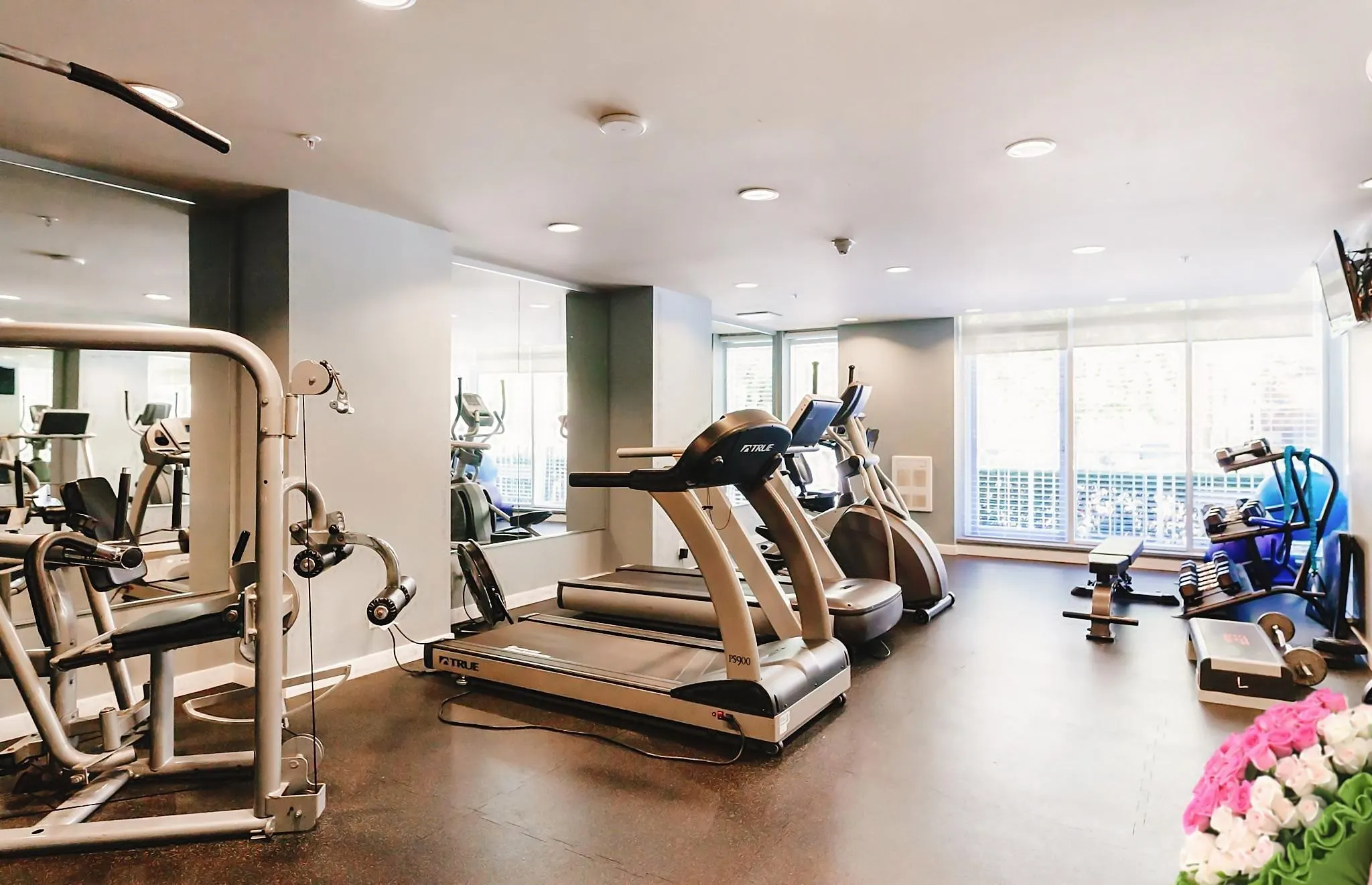 550 Taylor Street #1709