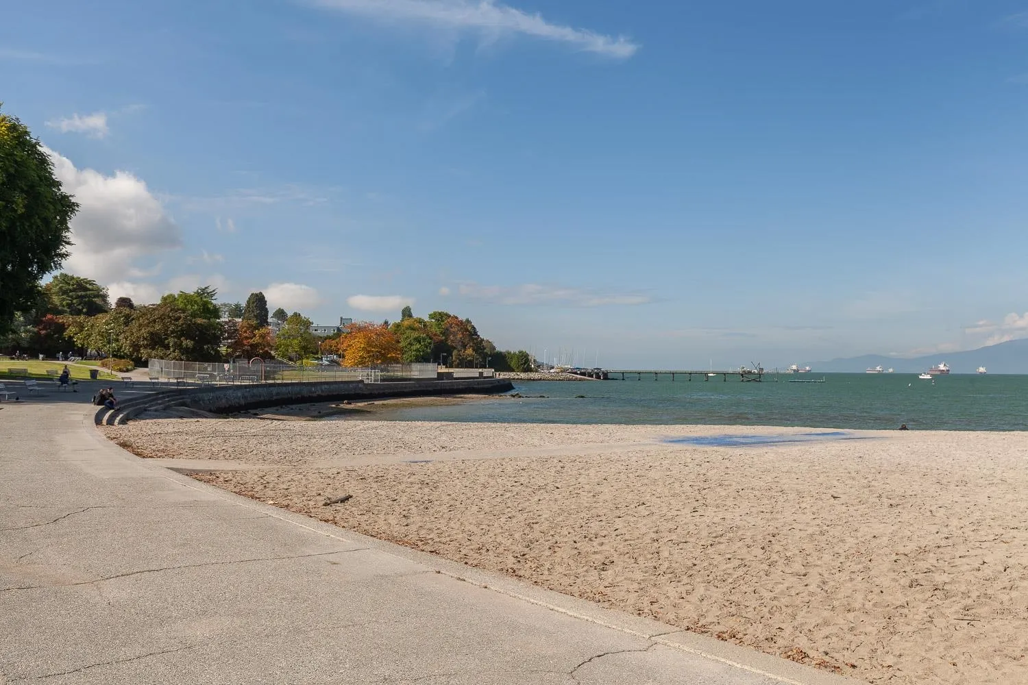 2410 Cornwall Avenue #207