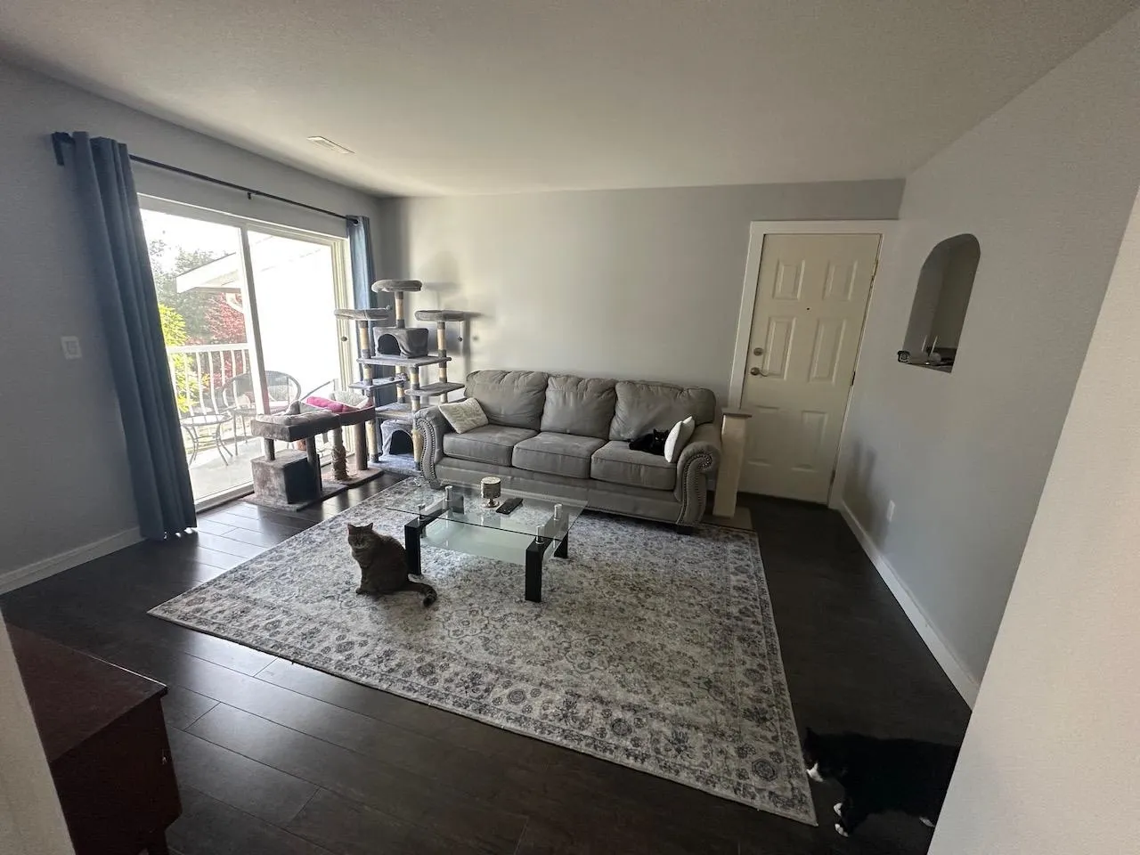 7715 Luckakuck Place #28