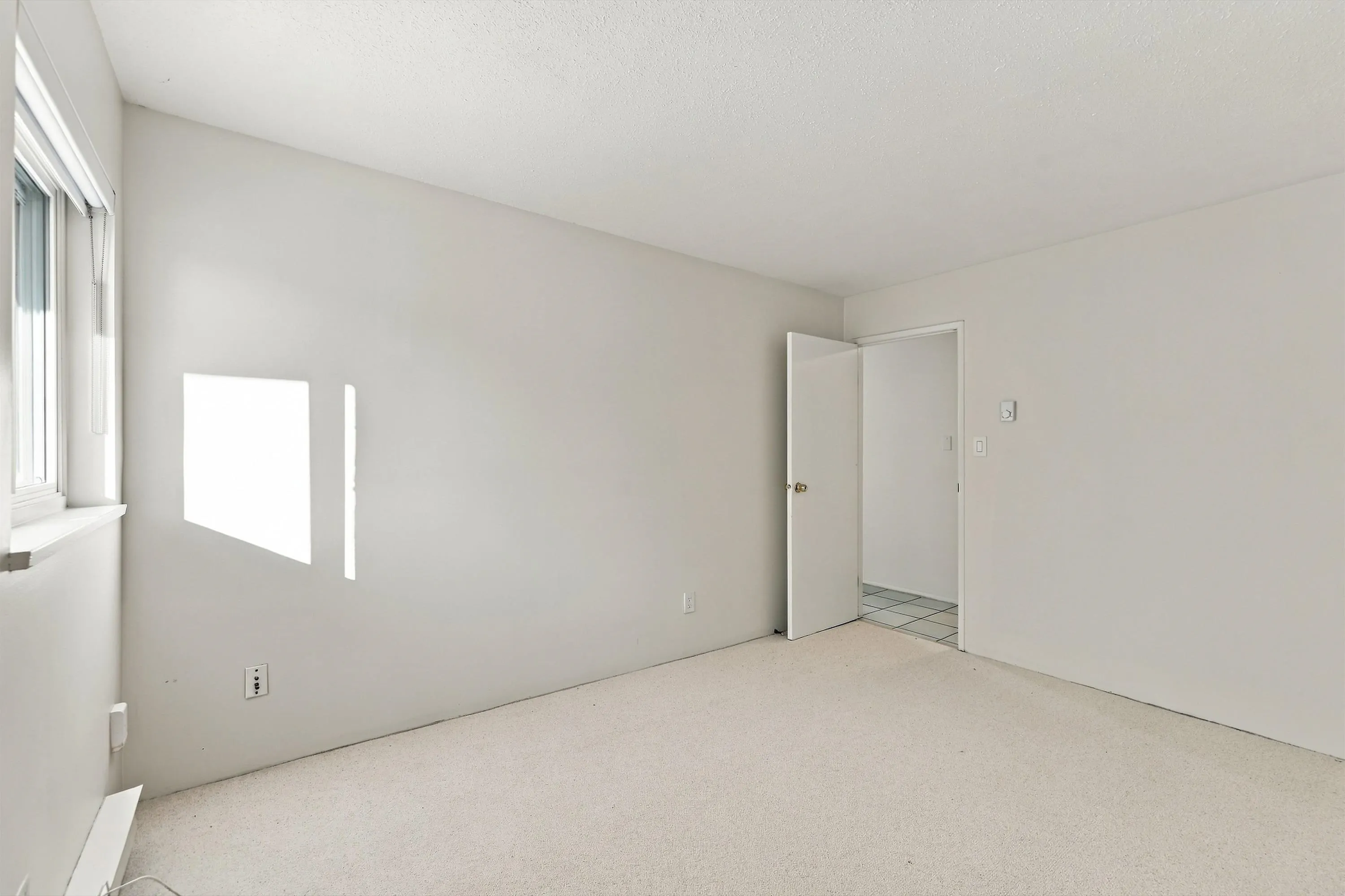 335 Cedar Street #206
