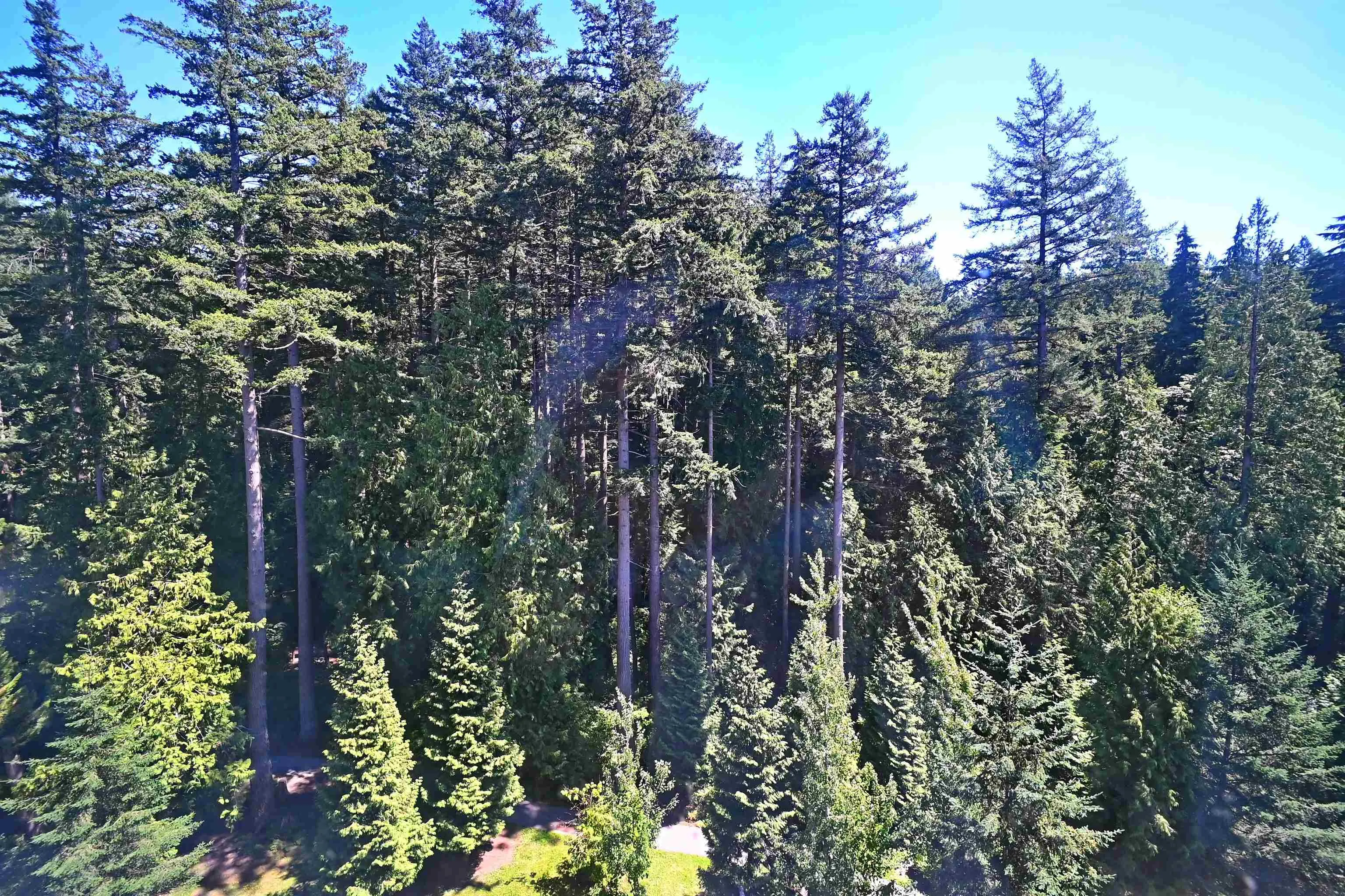 3487 Binning Road #907