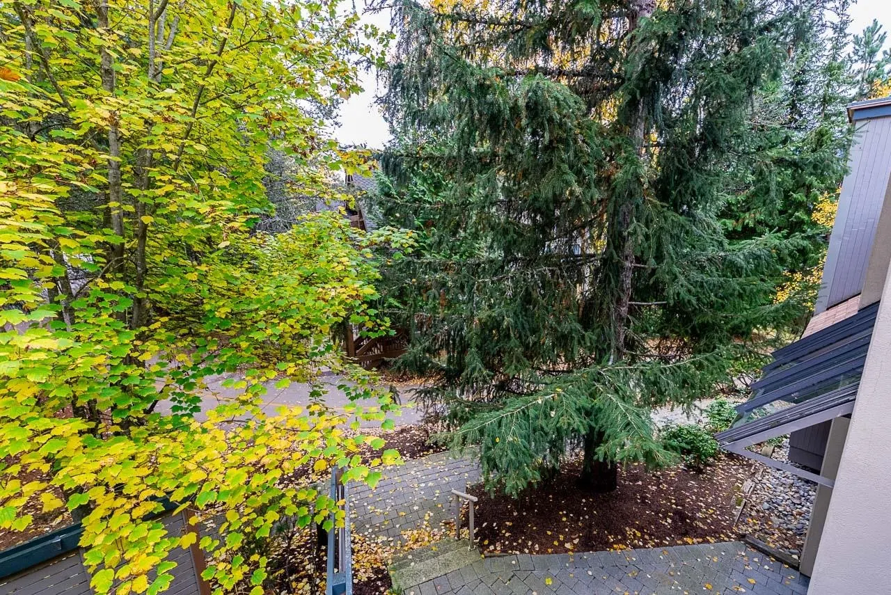 4636 Blackcomb Way #31