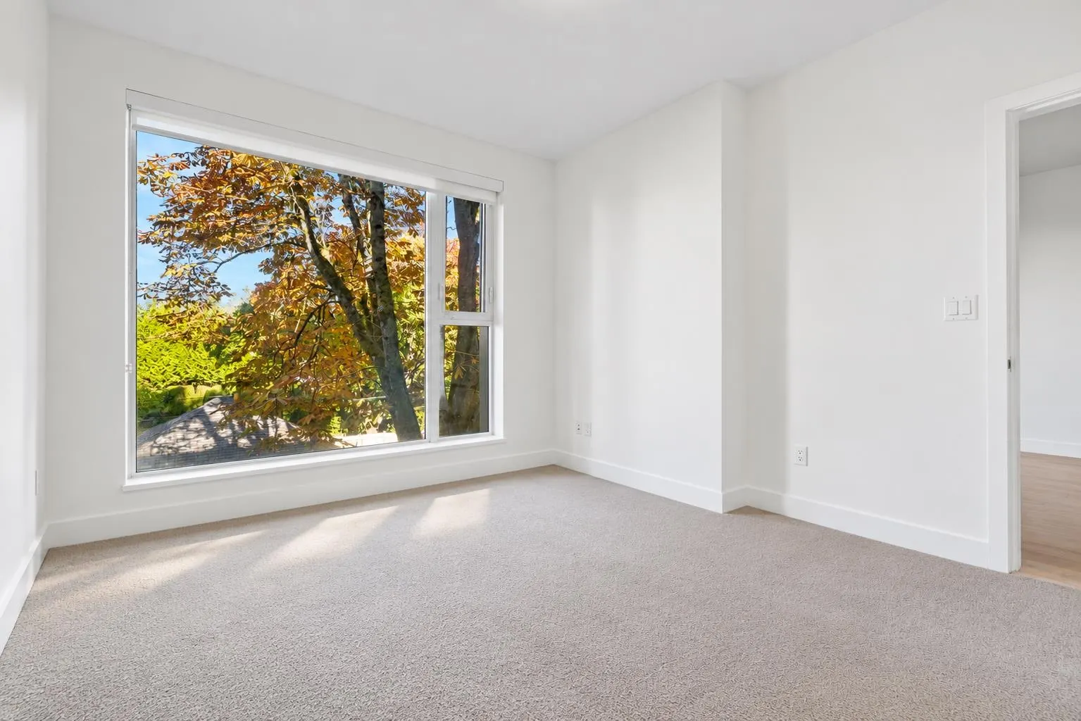 1515 Atlas Lane #310