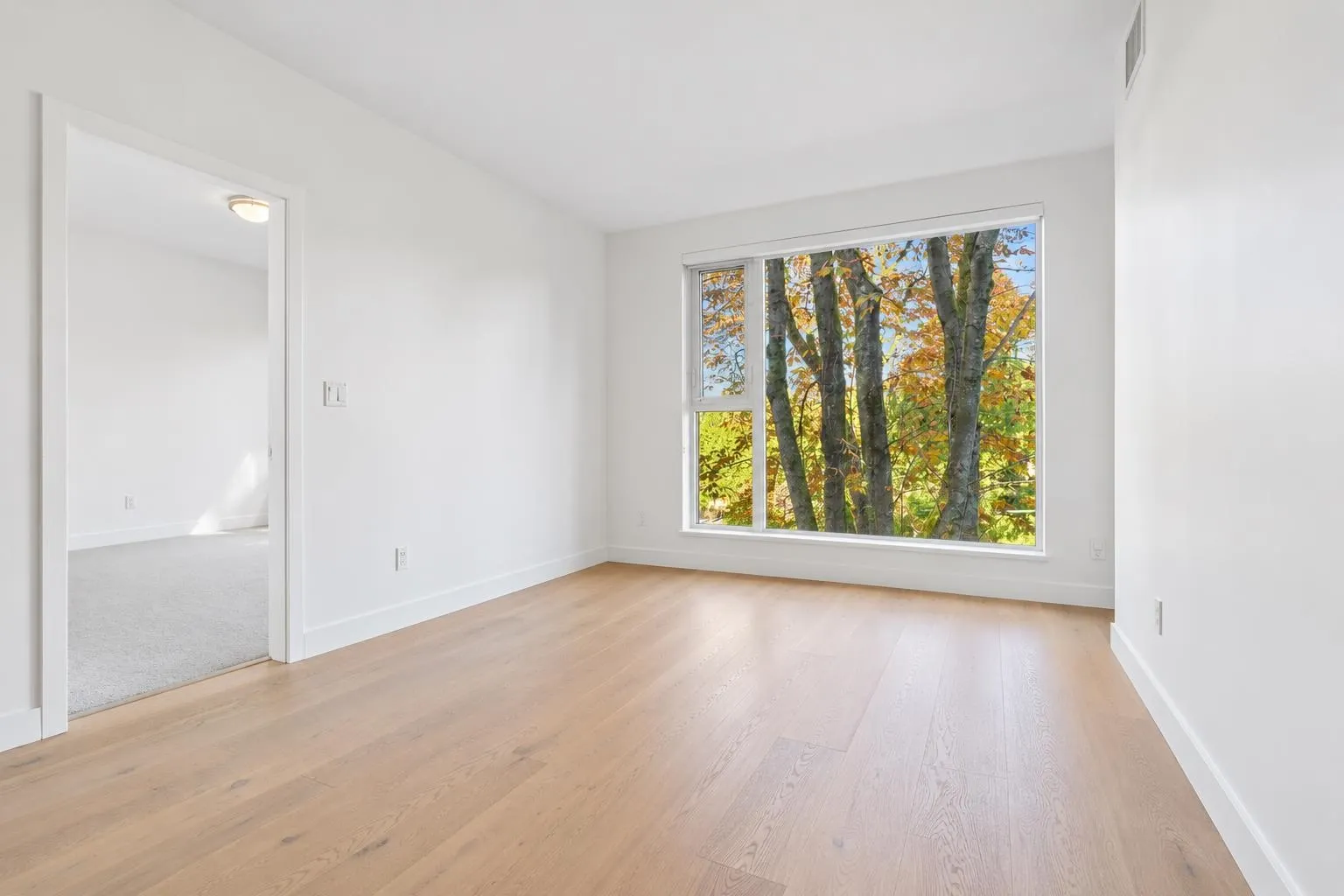 1515 Atlas Lane #310