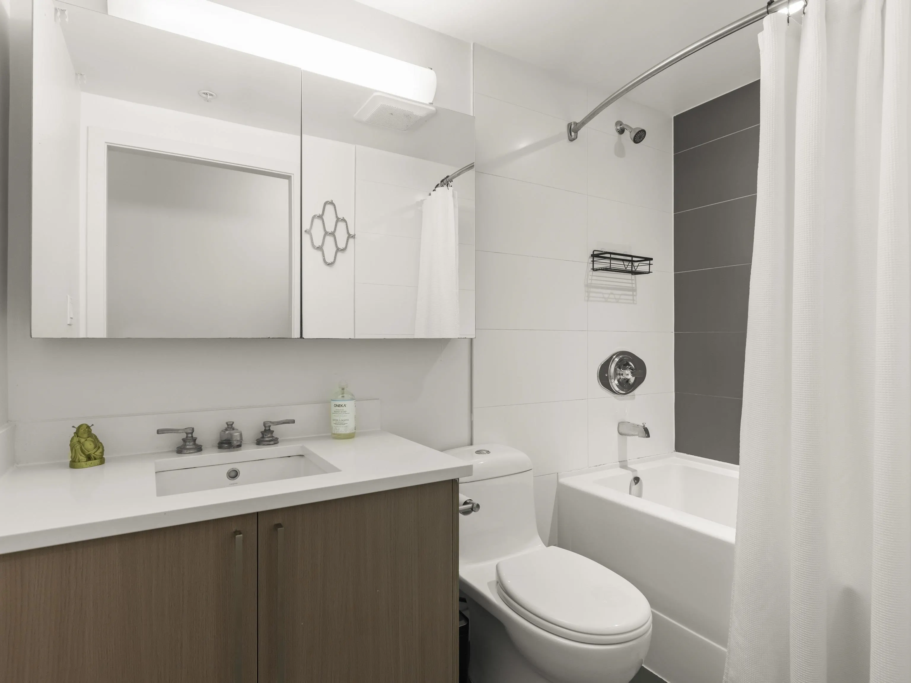250 E 6th Avenue #352