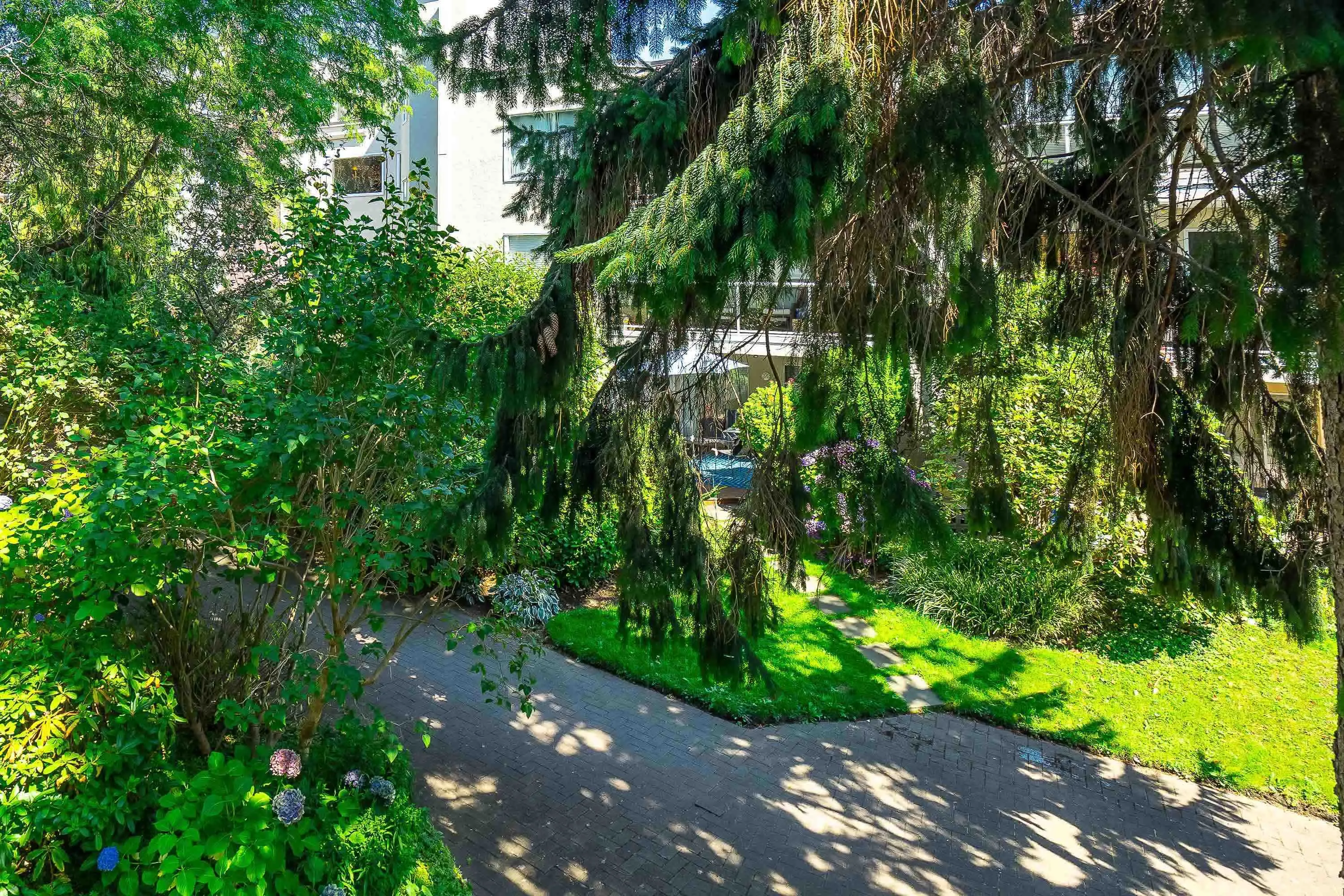 1220 Fir Street #306