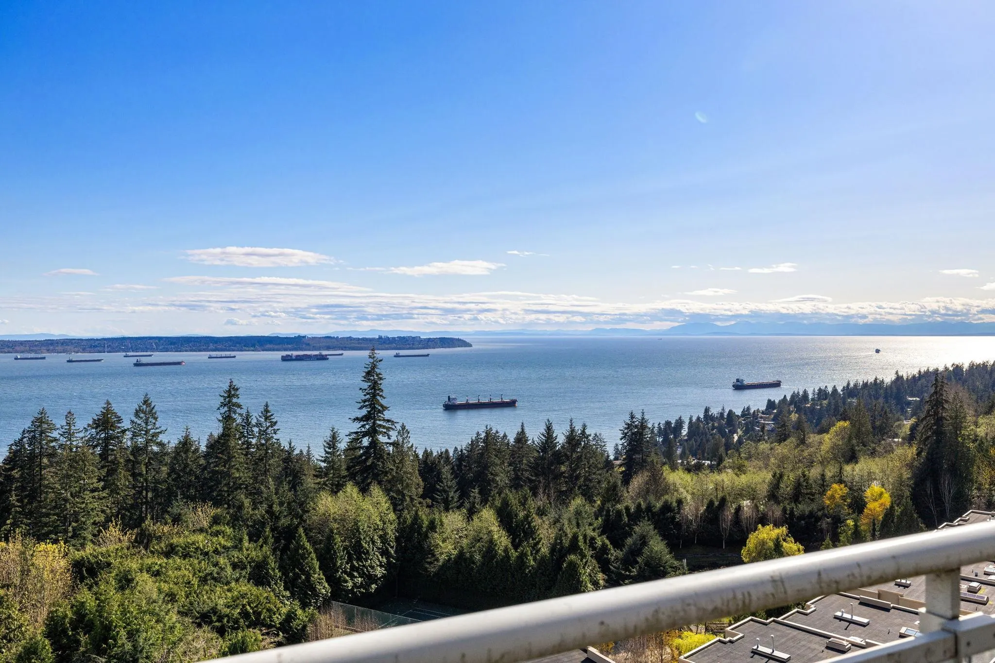3105 Deer Ridge Drive #701