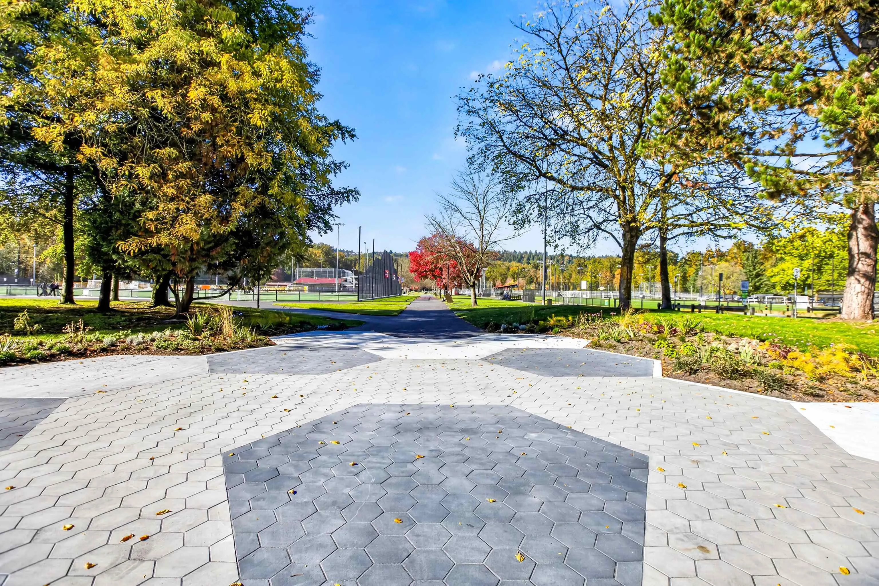 2331 Kelly Avenue #203