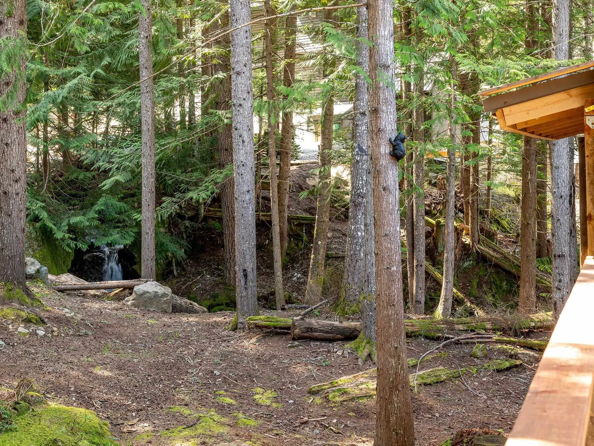 2315 Cheakamus Way