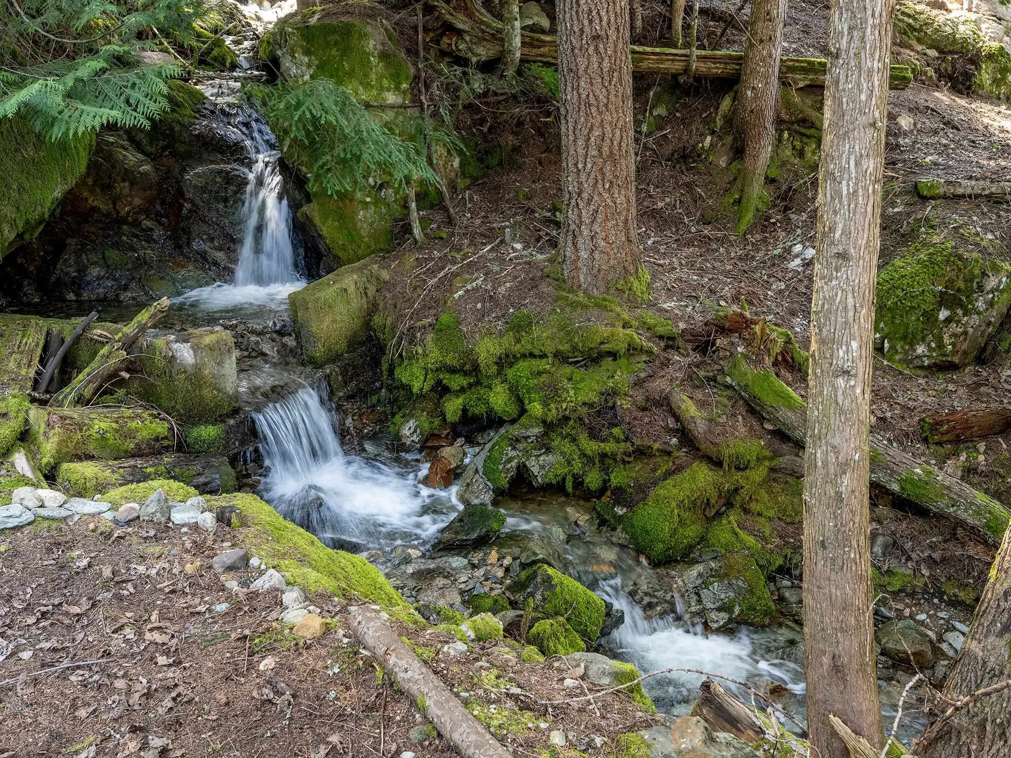 2315 Cheakamus Way