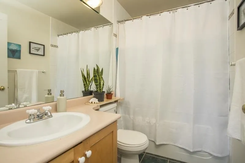 510 Chesterfield Avenue #401