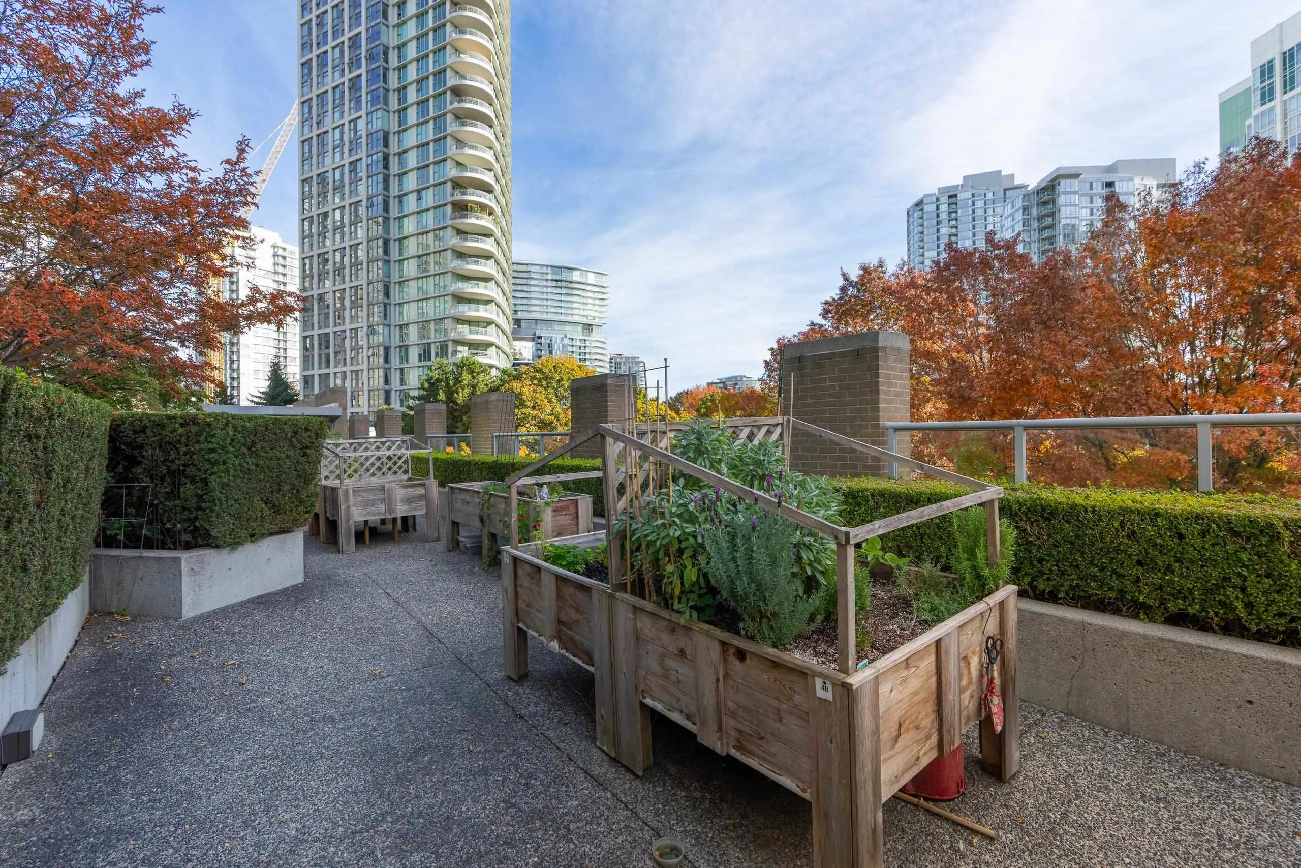 1008 Cambie Street #2006