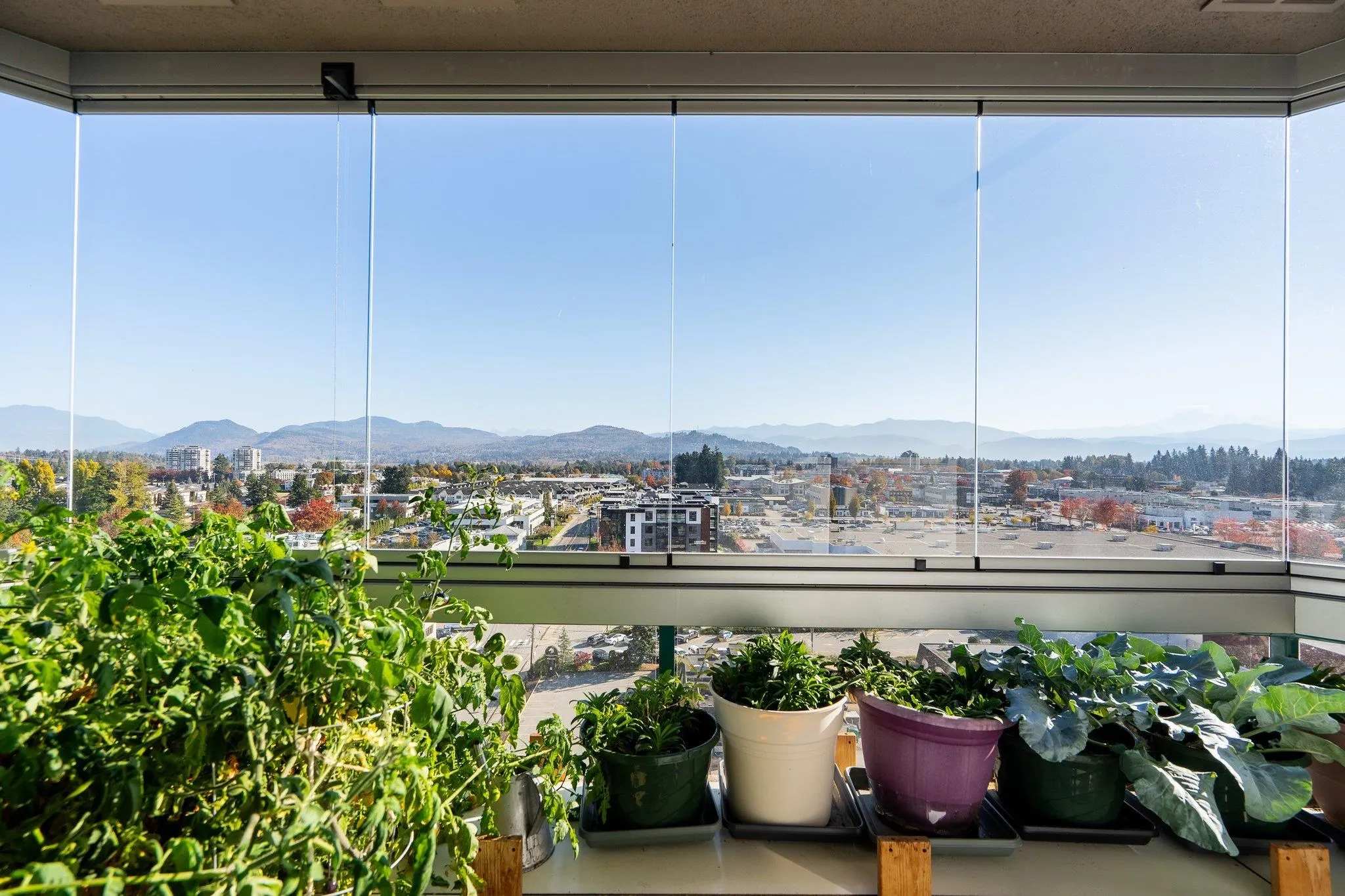 32440 Simon Avenue #1303