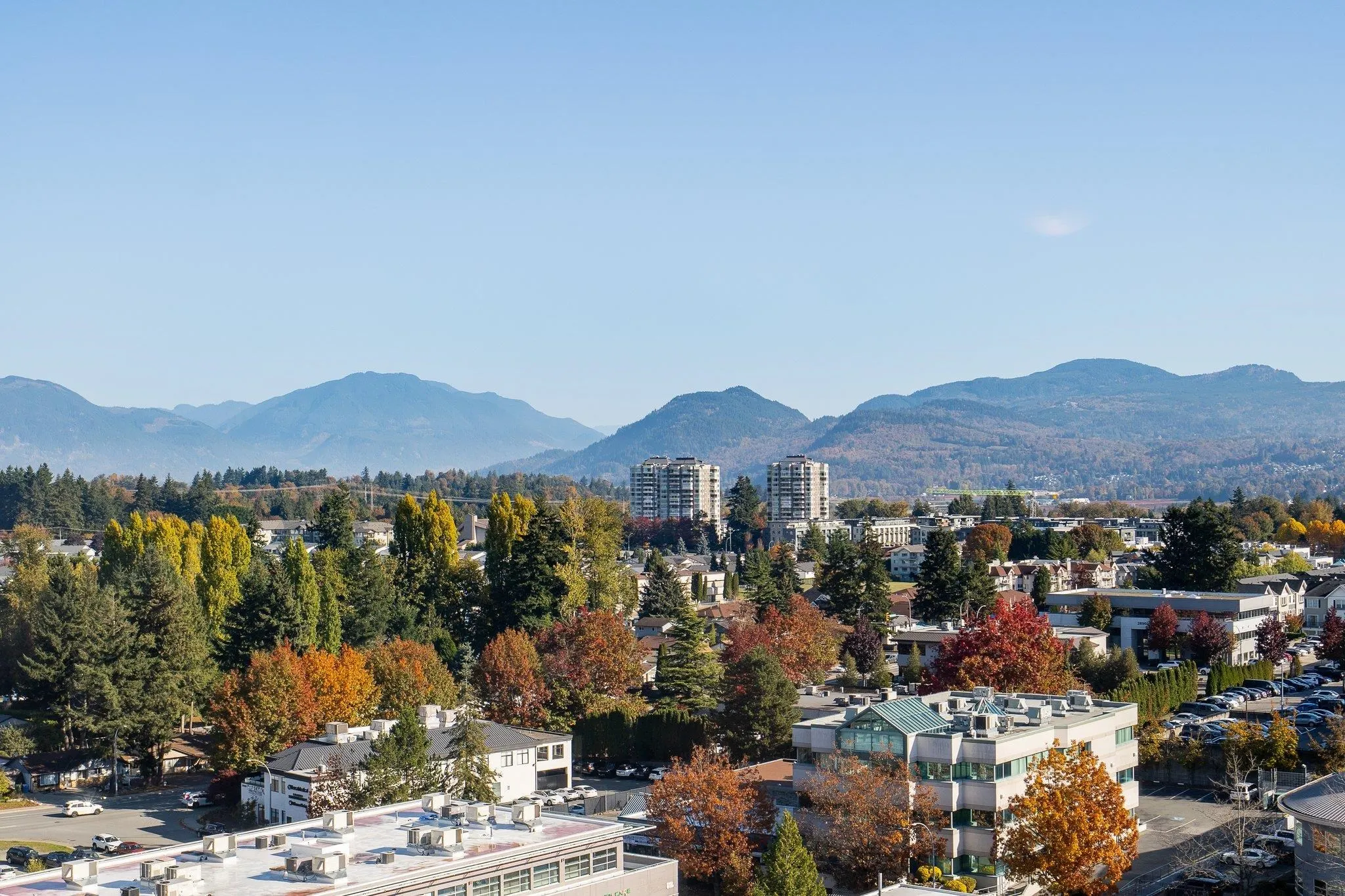 32440 Simon Avenue #1303
